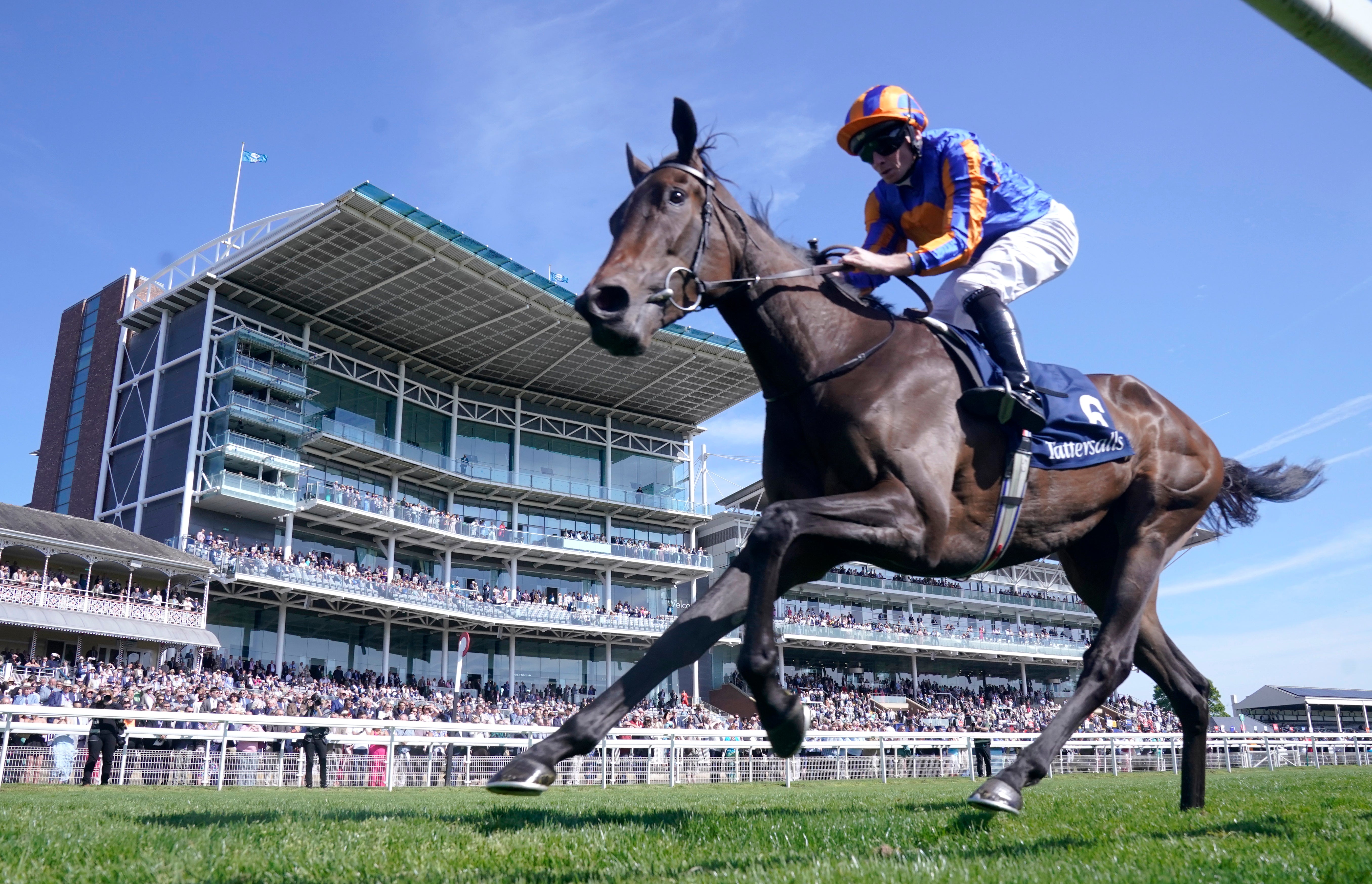 Wednesday racing tips: Best bets and odds for day one at York’s Ebor Festival