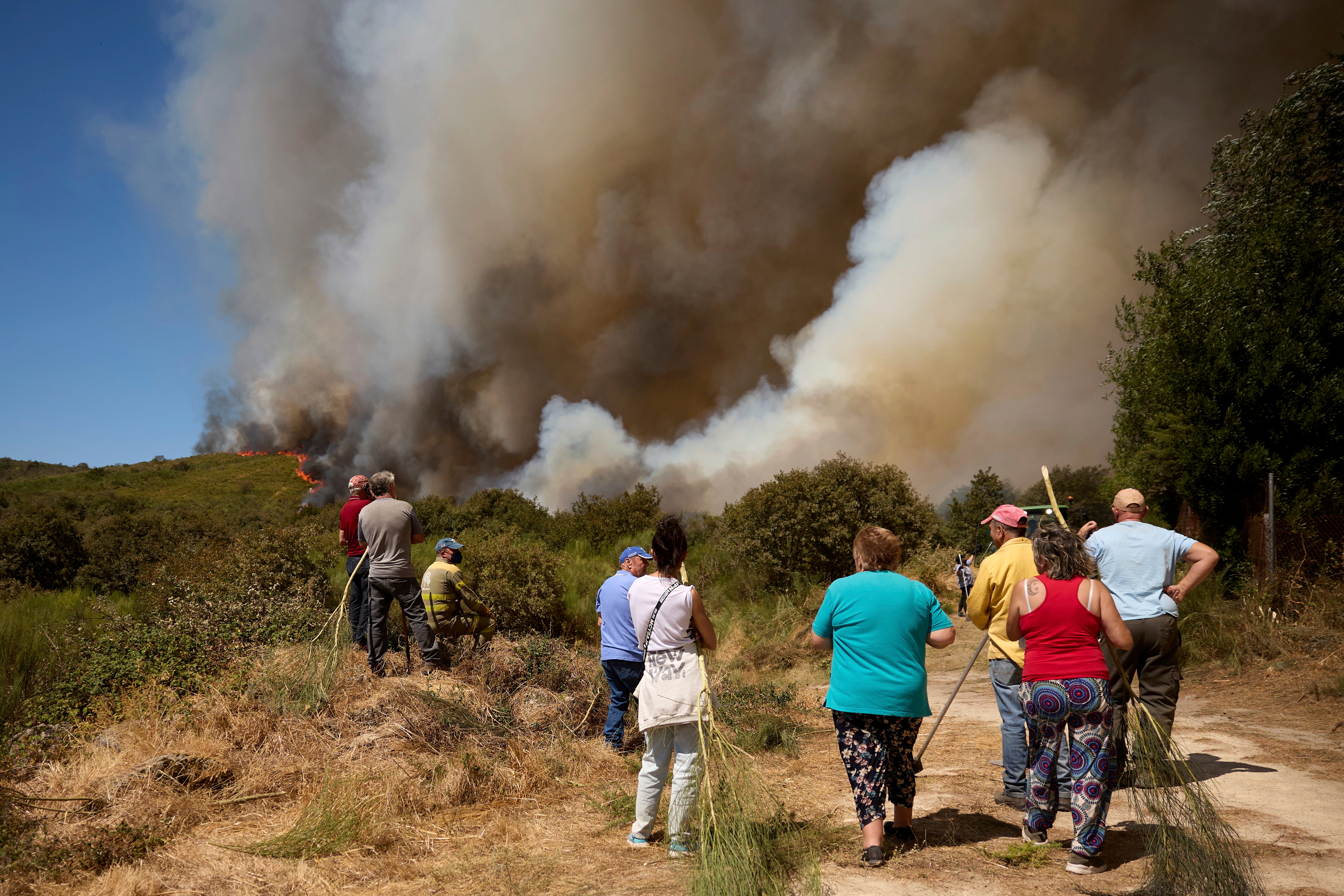 Many fires have been triggered by human activity