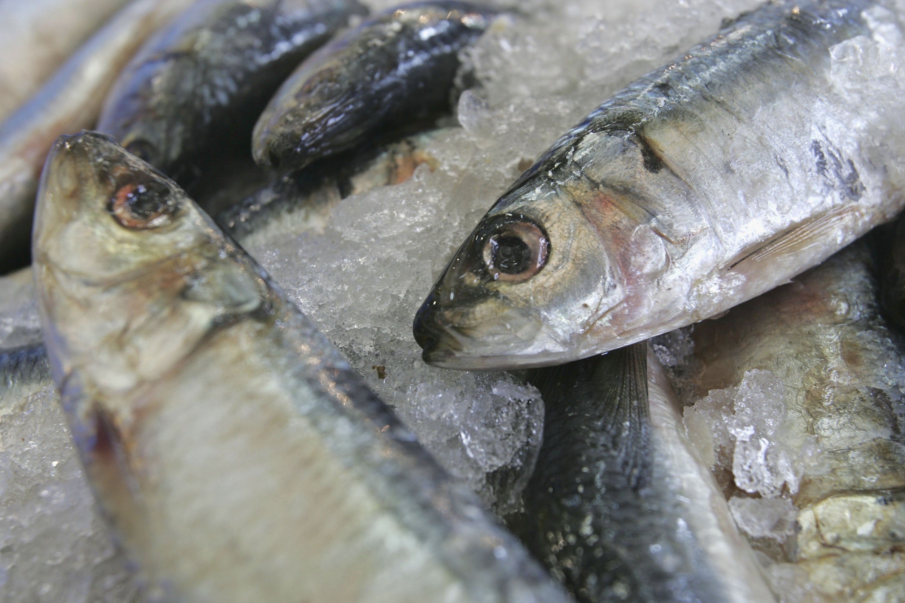 Oily fish is rich in omega-3 fatty acids which prevents inflammation