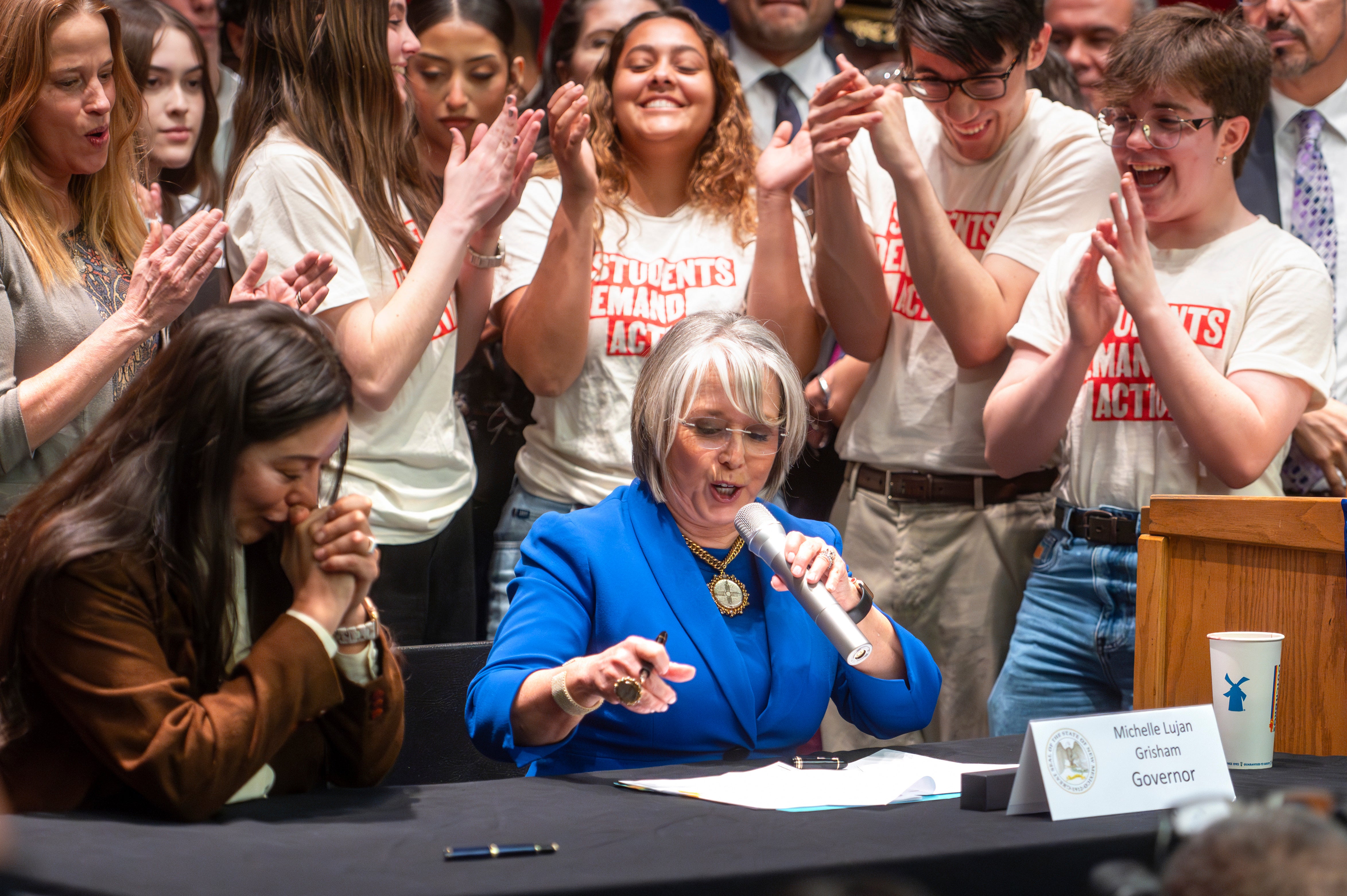 Gun Purchases New Mexico