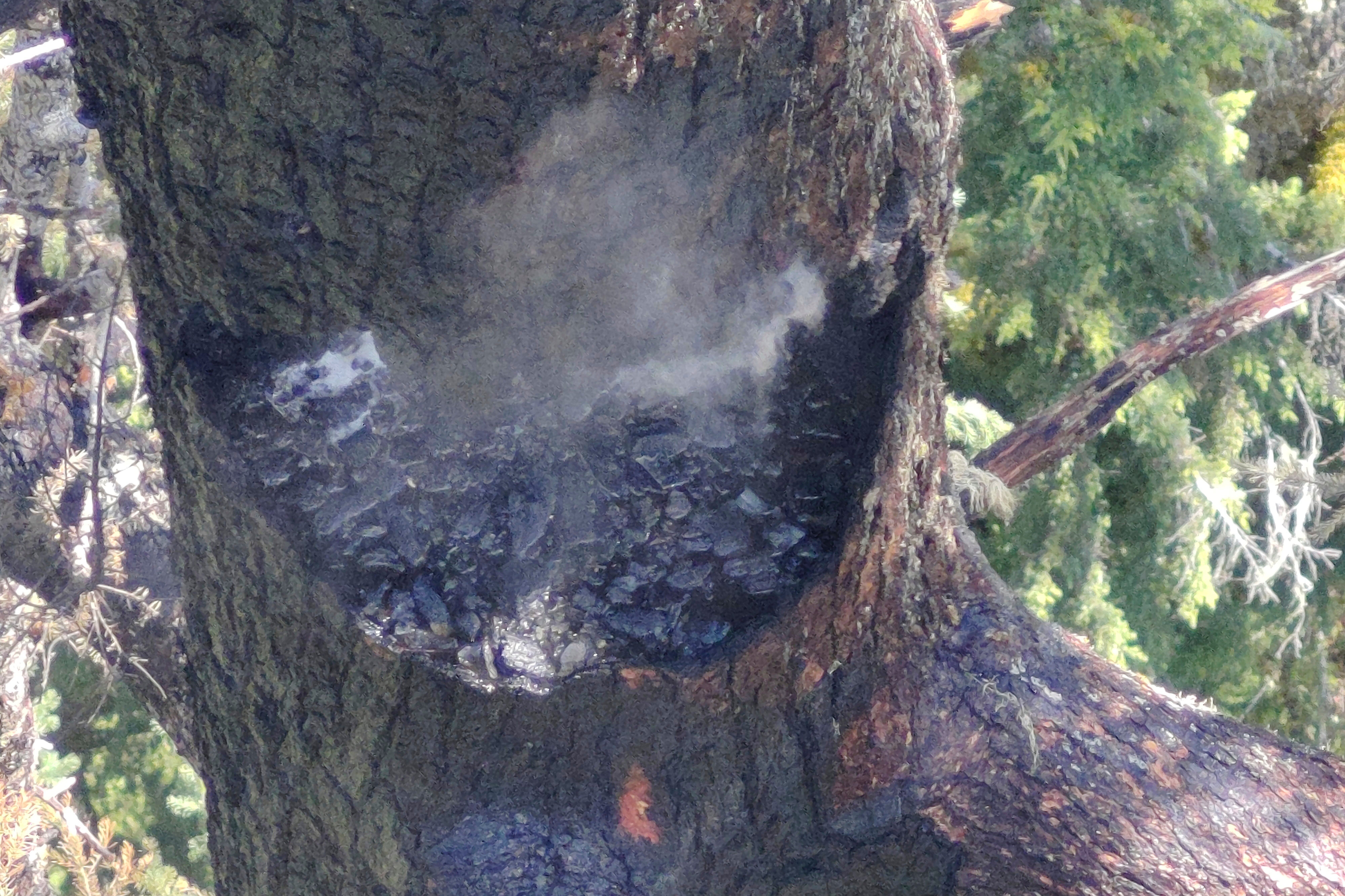 The Doerner Fir, a coastal Douglas Fir tree over 325 feet (99 meters) tall and estimated to be over 450 years old, has been burning since Saturday