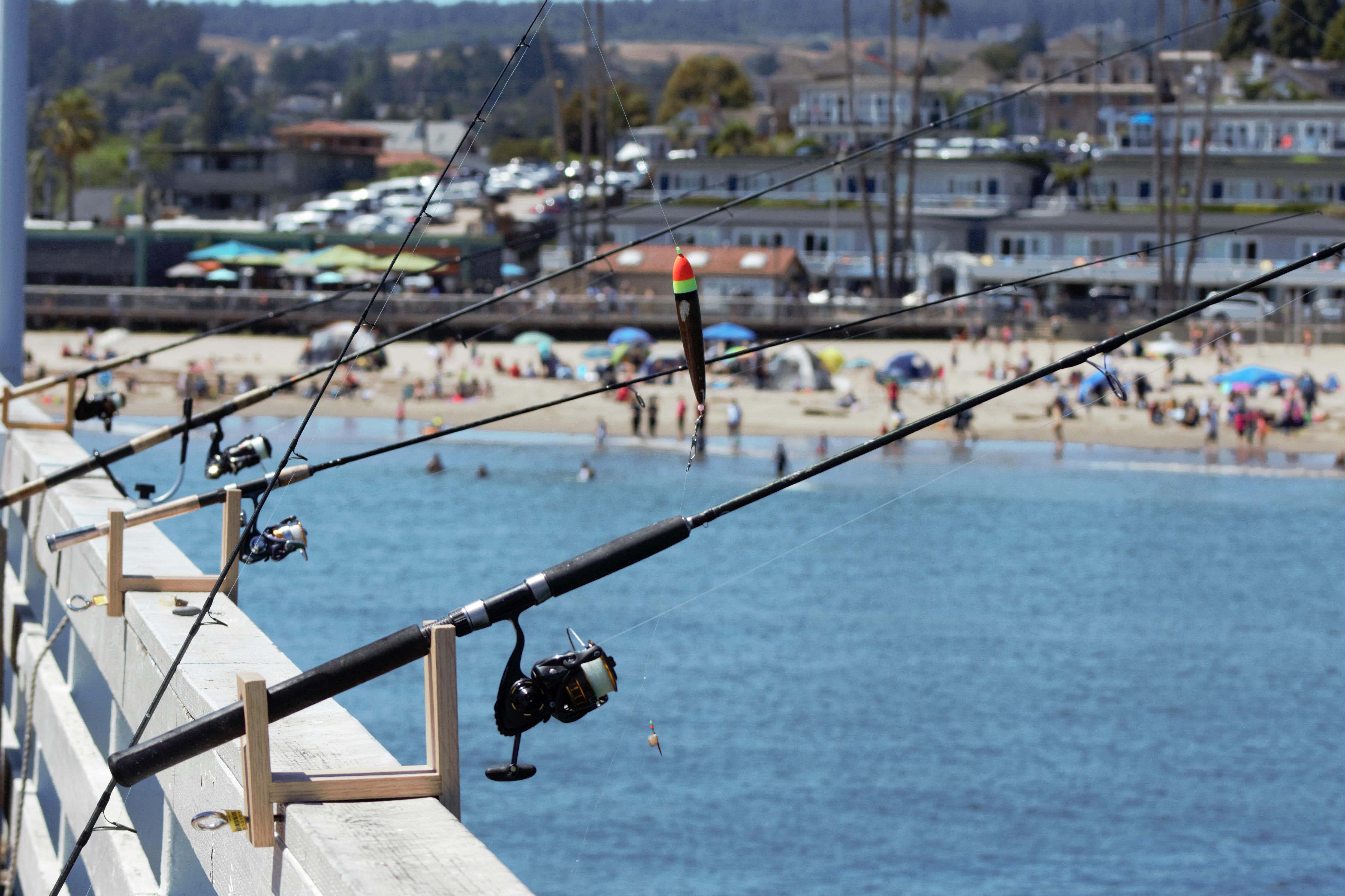 Angling Direct saw sales rise over the past six months (Alamy/PA)
