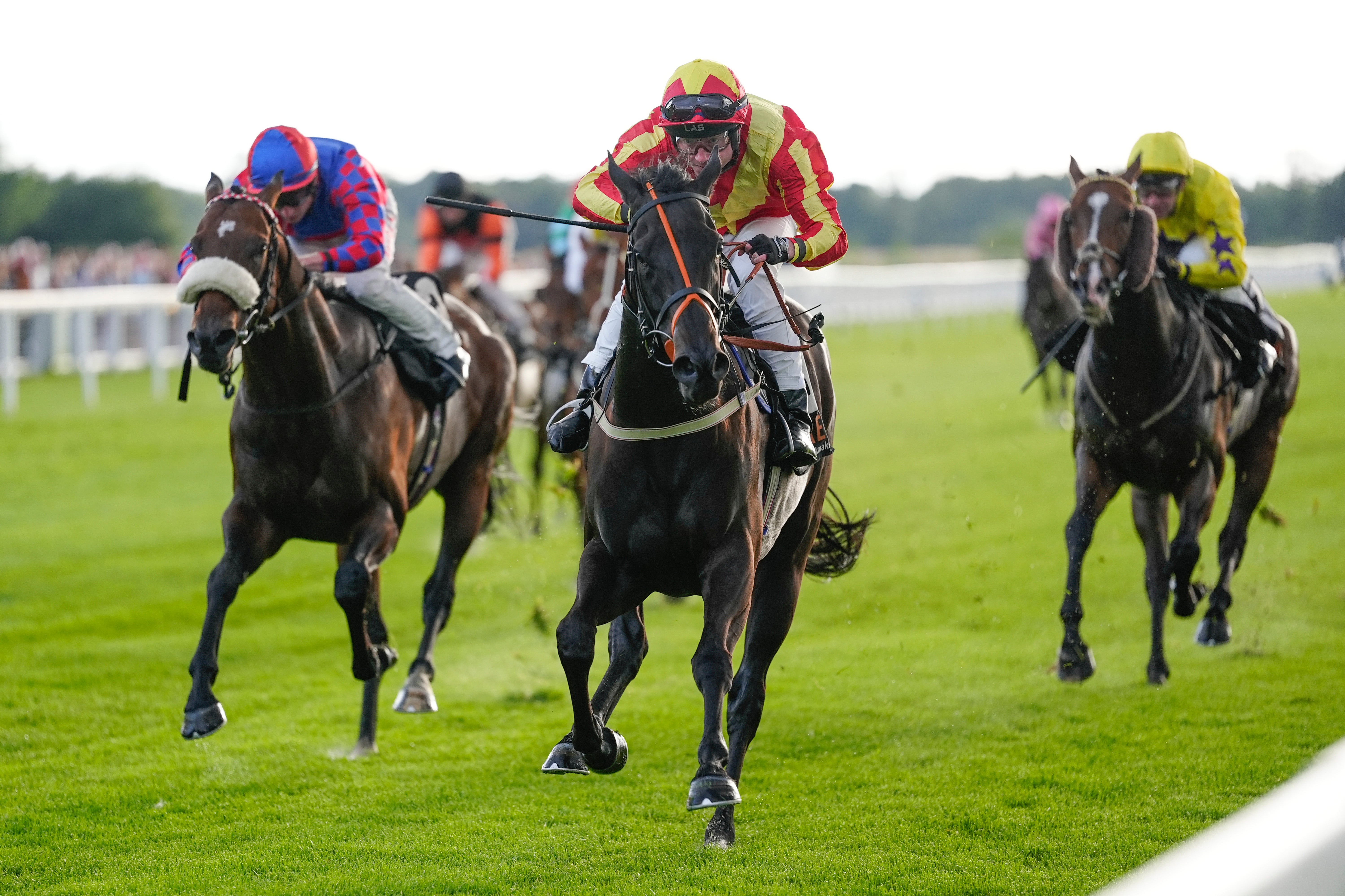 A one-day strike on 10 September will affect meetings at Carlisle, Kempton Park, Lingfield Park and Uttoxeter