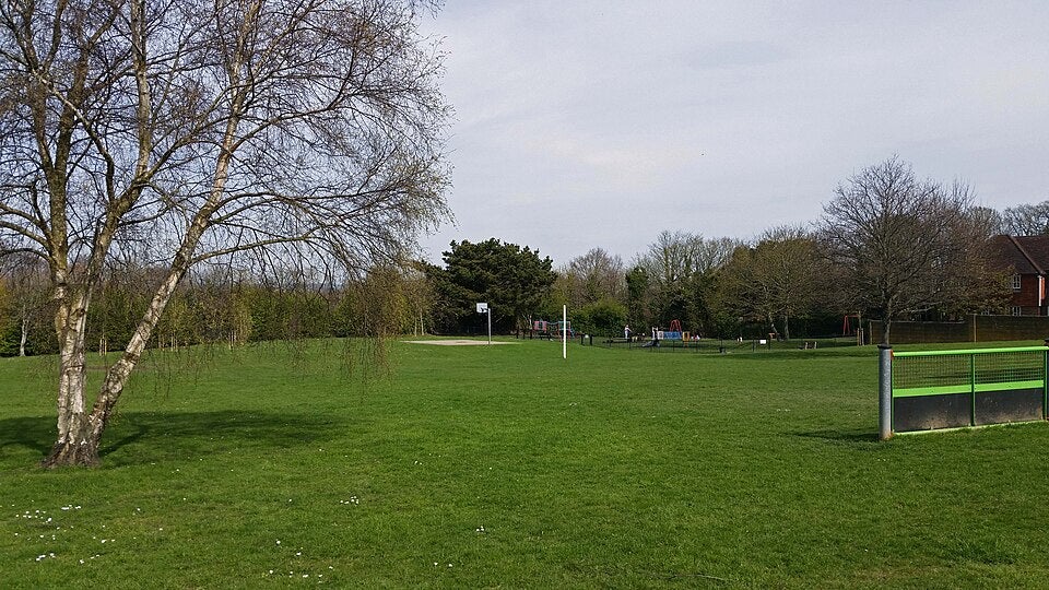 The incident happened at Barrack Hall Park, Bexhill, in East Sussex
