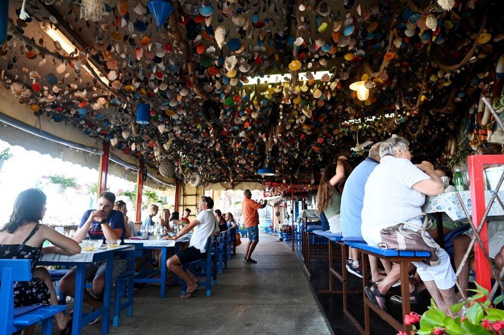 O cérebro se torna mais lento e menor com a nossa idade. Os pesquisadores dizem que uma única dieta em particular pode ajudar a protegê -la
