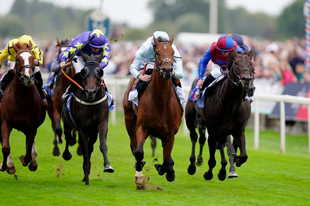 木曜日のレースのヒント：Eborフェスティバル2日目のベストベットと競馬オッズ