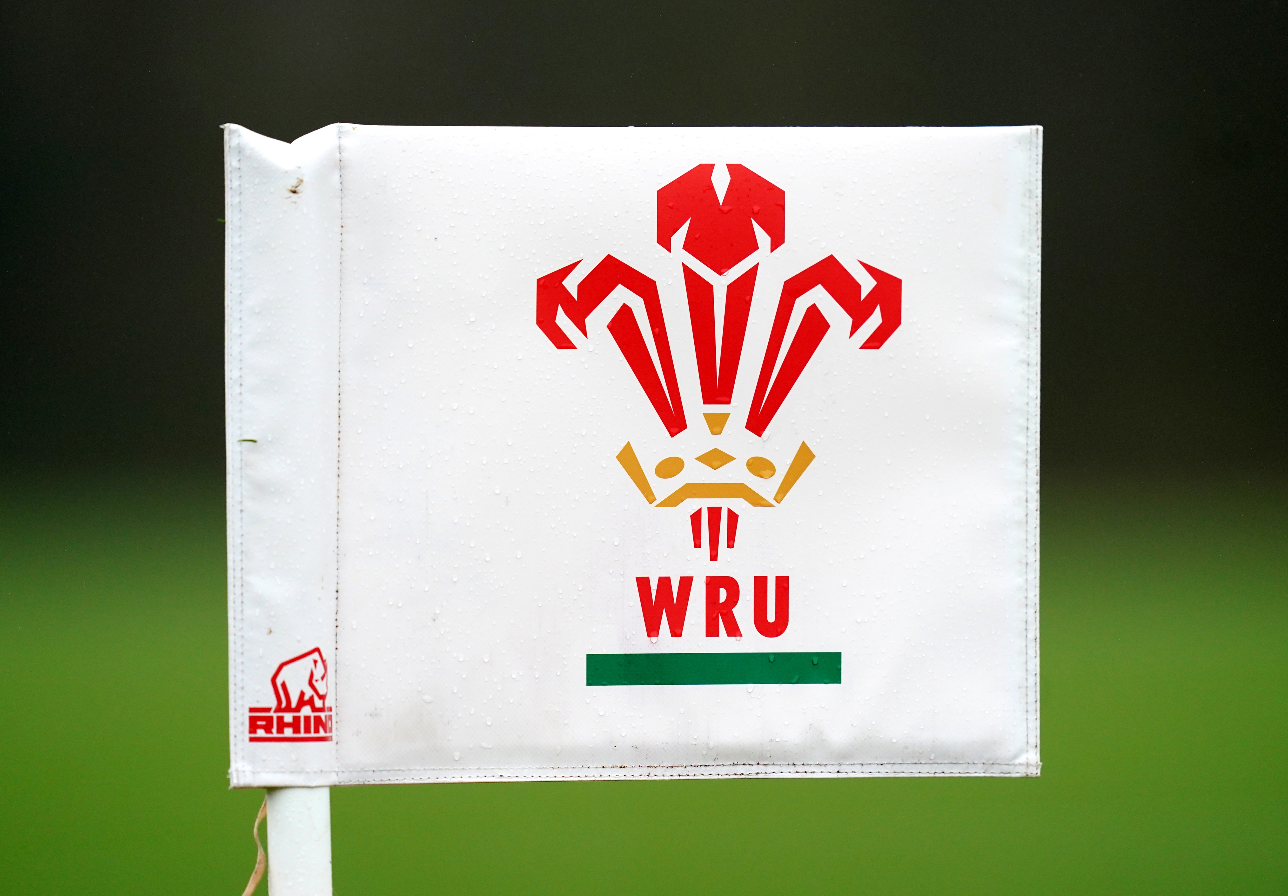 The Welsh Rugby Union has advocated reducing the number of professional sides in the country to three