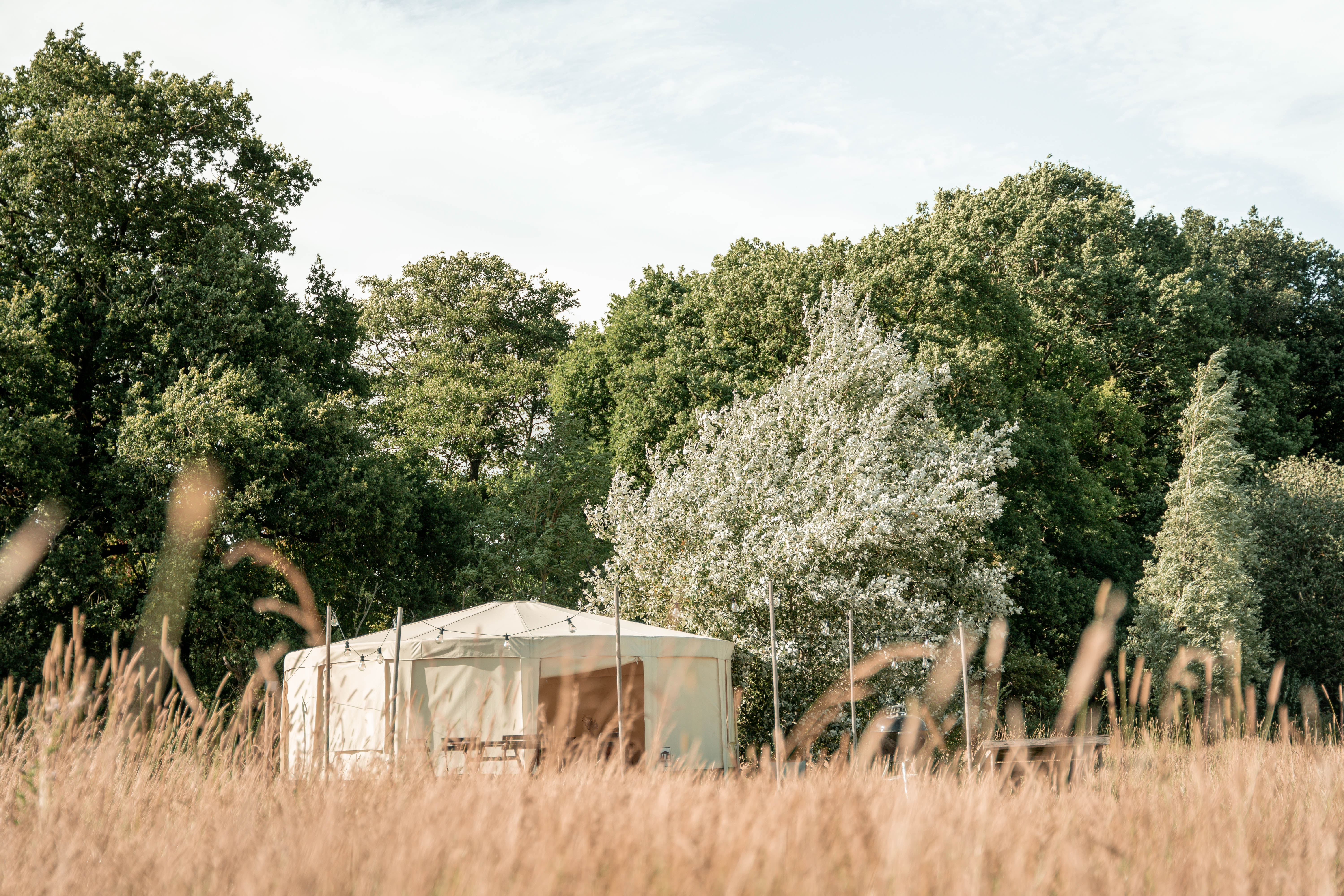 From festivals to wellbeing retreats, there’s something for everyone at Home Farm