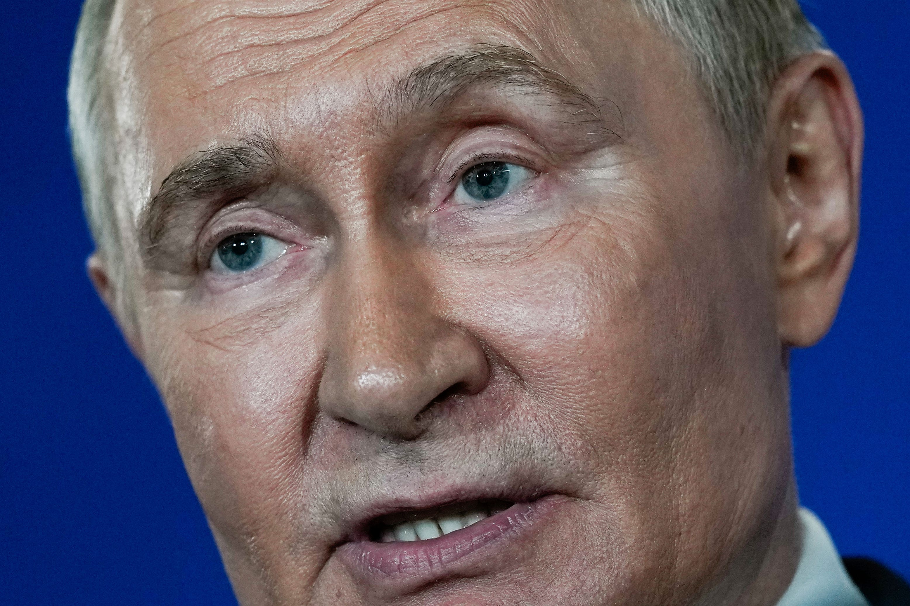 Russian president Vladimir Putin (Julia Demaree Nikhinson/AP)