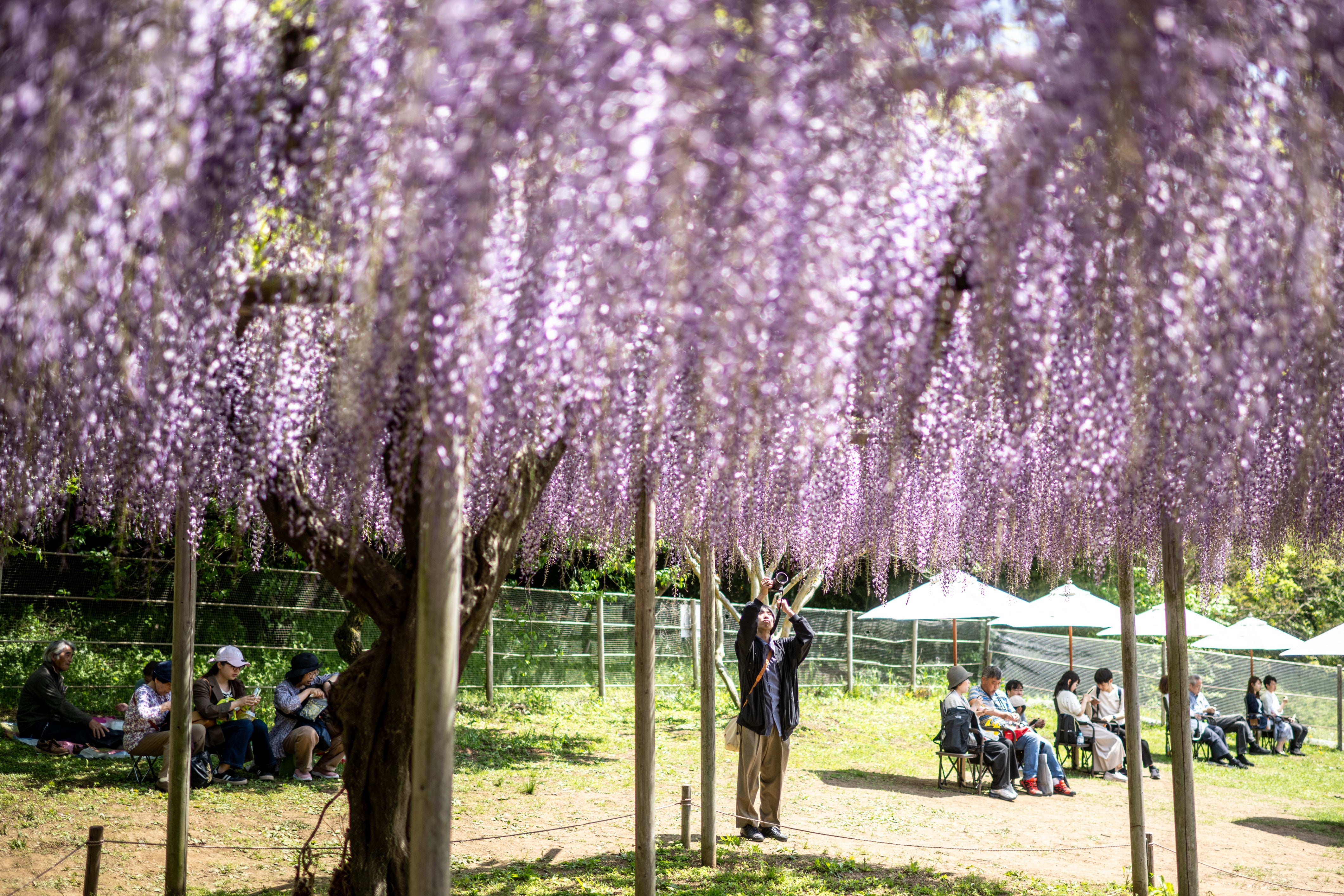 File. Tokyo’s cultural richness and outdoor escapes secured it the top global spot for workations in the third annual IWG survey