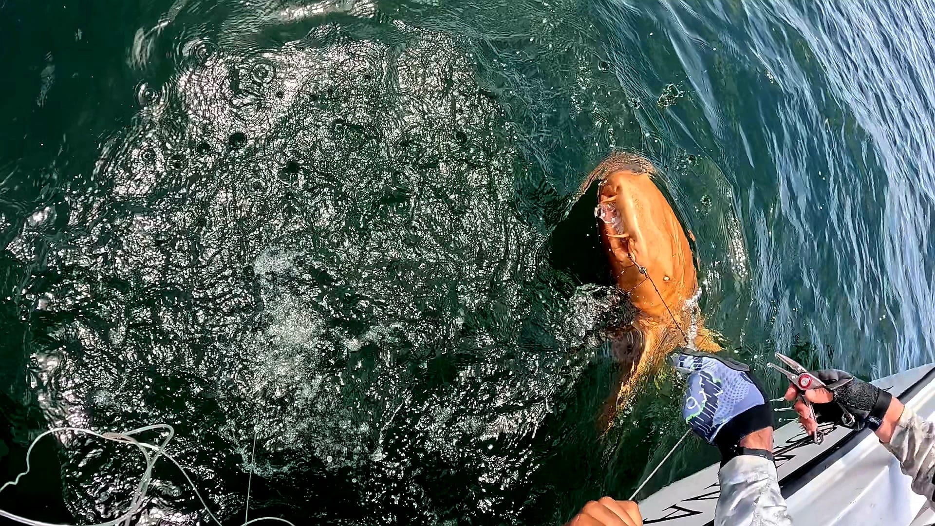 The condition is usually caused by a genetic mutation, but other factors, including diet, can also influence pigmentation