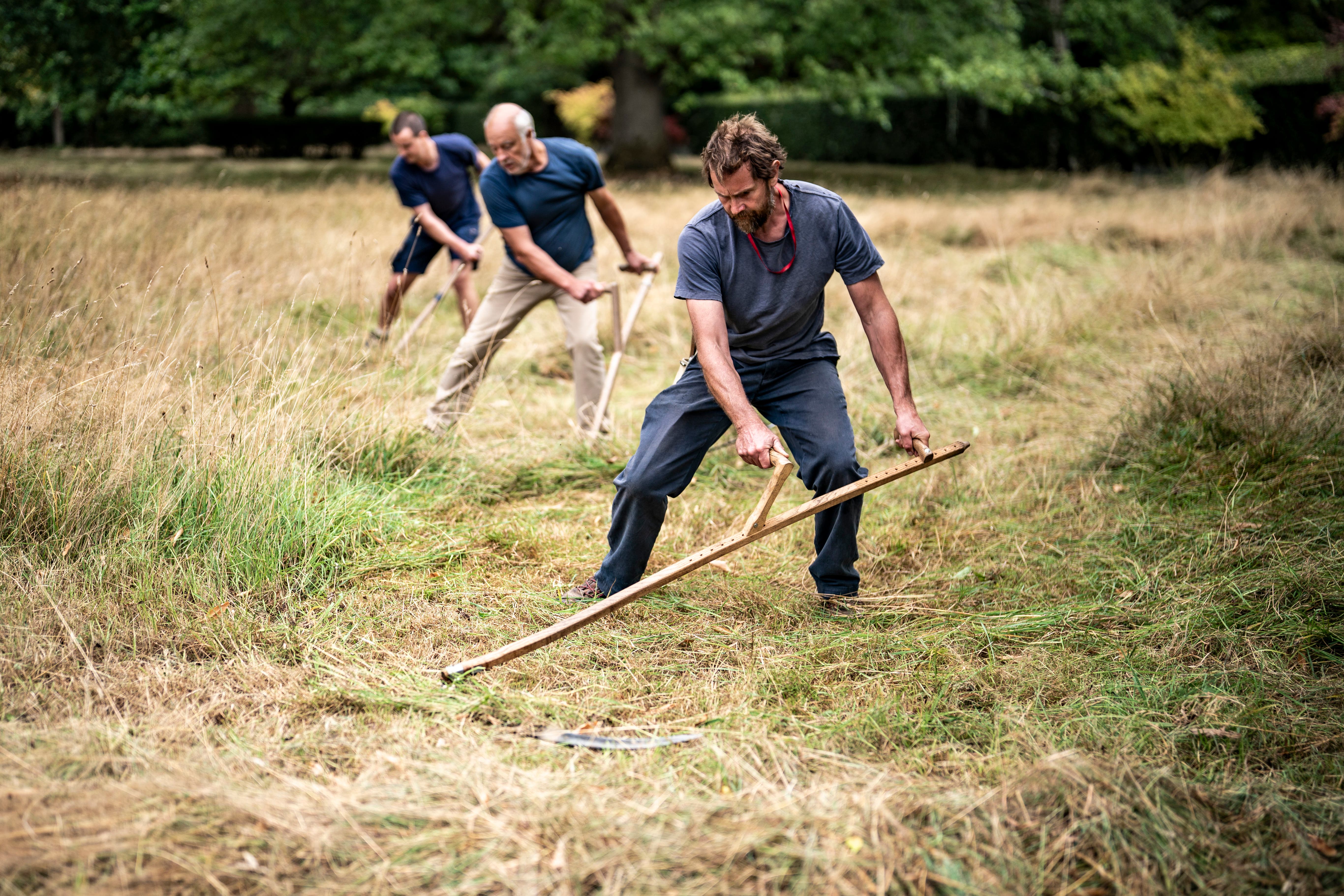 Mowers and members of the Scythe Association of Britain & Ireland use scythes to cut through meadowland at Highgrove, in Gloucestershire (Ben Birchall/PA)