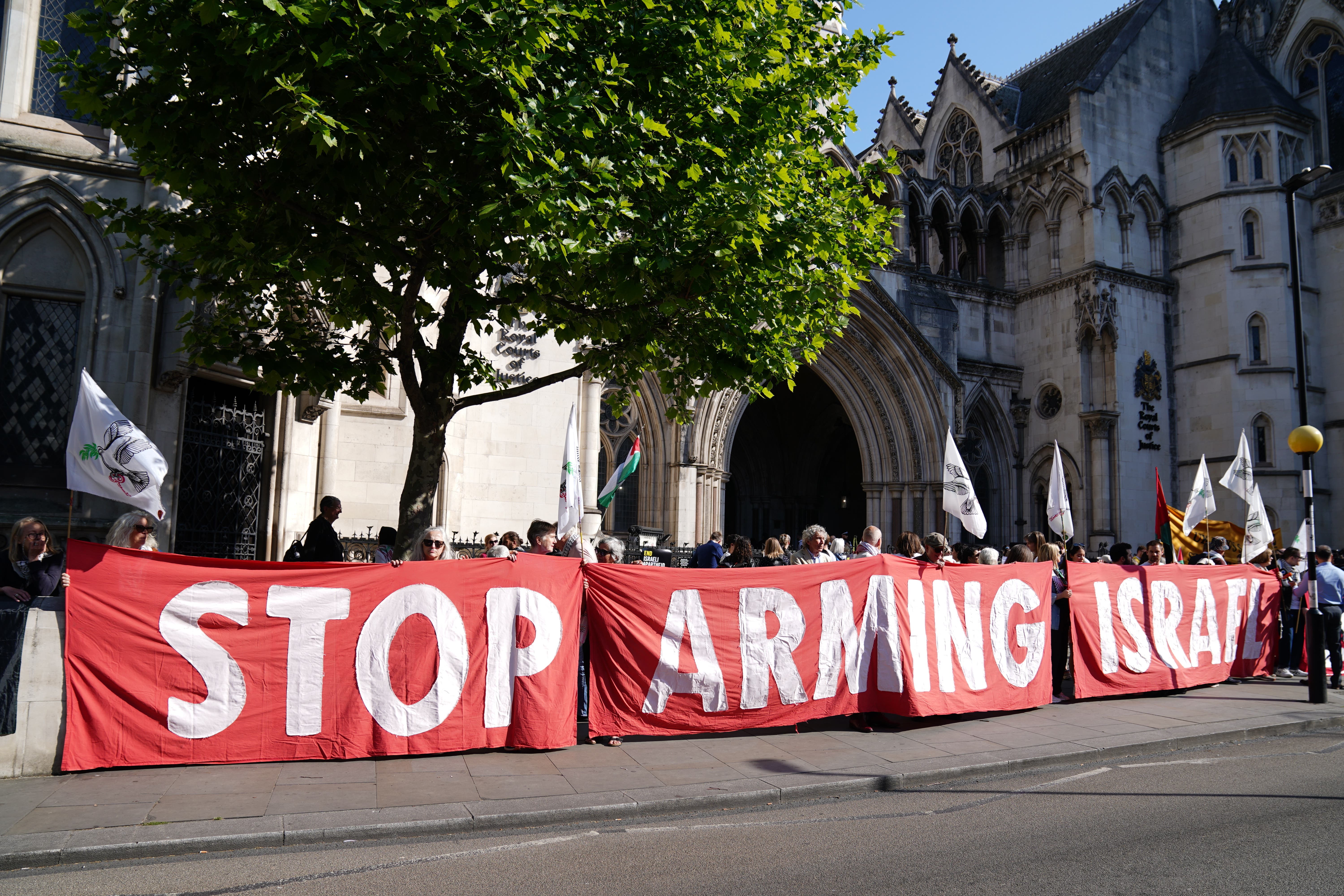 Demonstrators outside the Royal Courts of Justice, ahead of the High Court hearing earlier this year (Ben Whitley/PA)