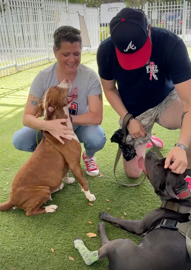 Peanut's new family includes a canine companion