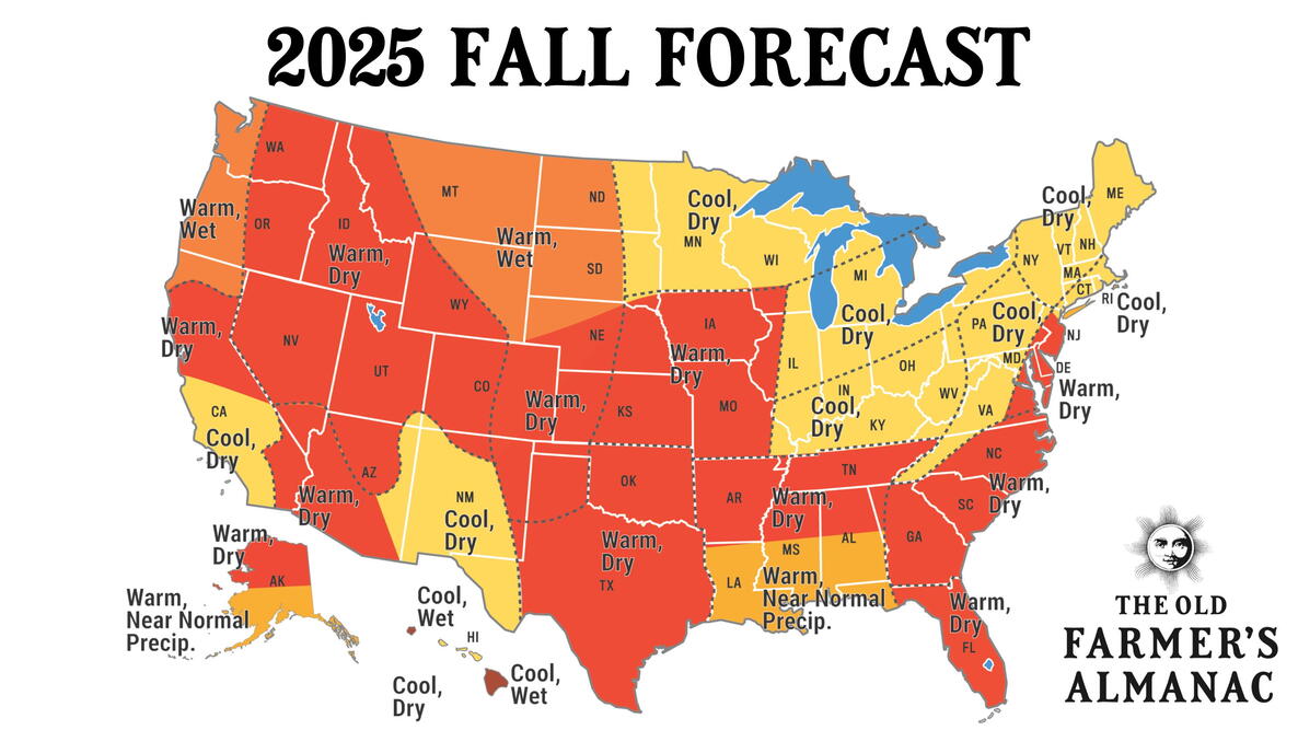 The fall forecast from the Farmer's Almanac shows a cool and dry season for the Northeast. The region is already seeing leaves turn