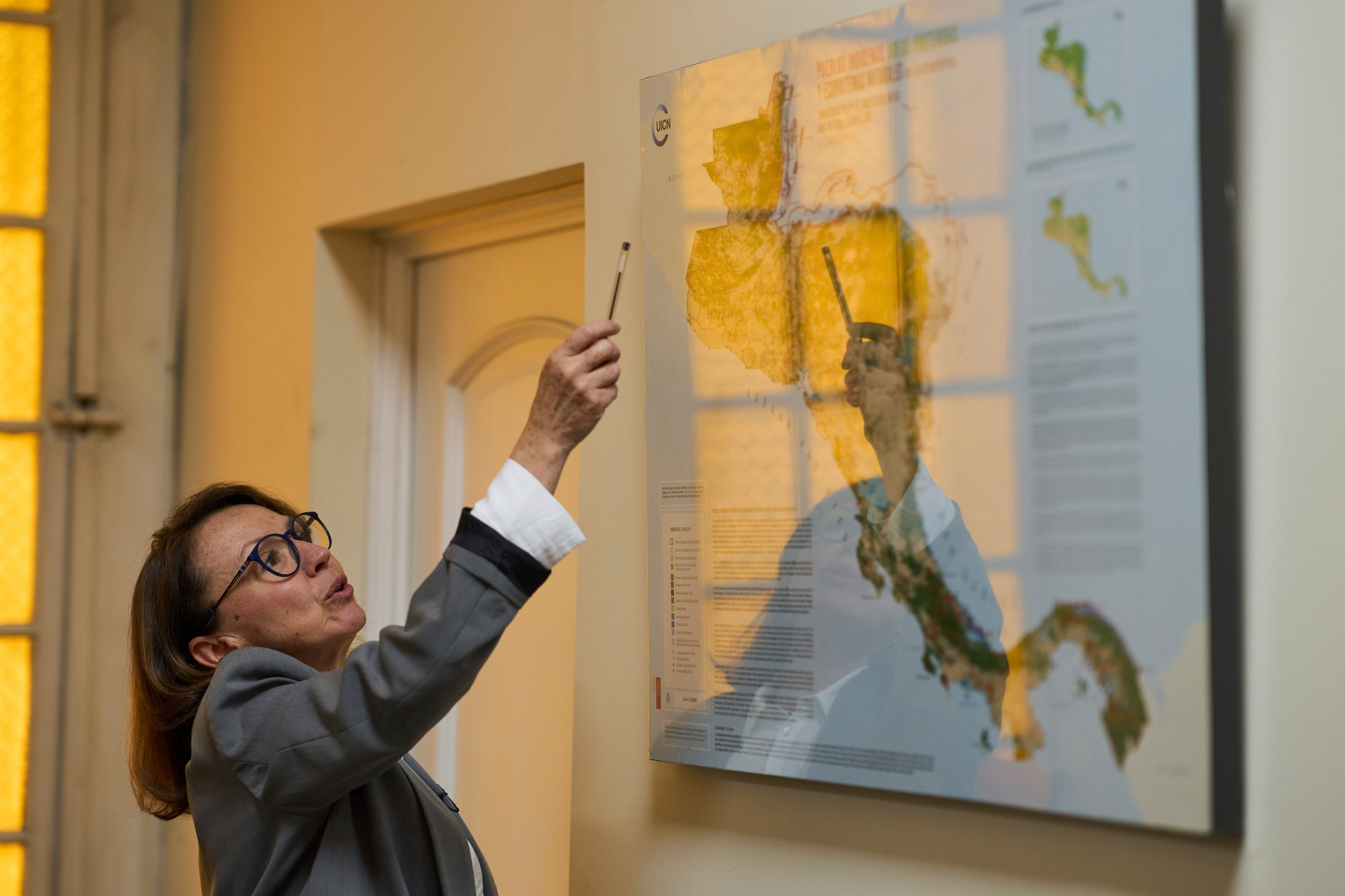 Guatemala Mexico Forest Reserve