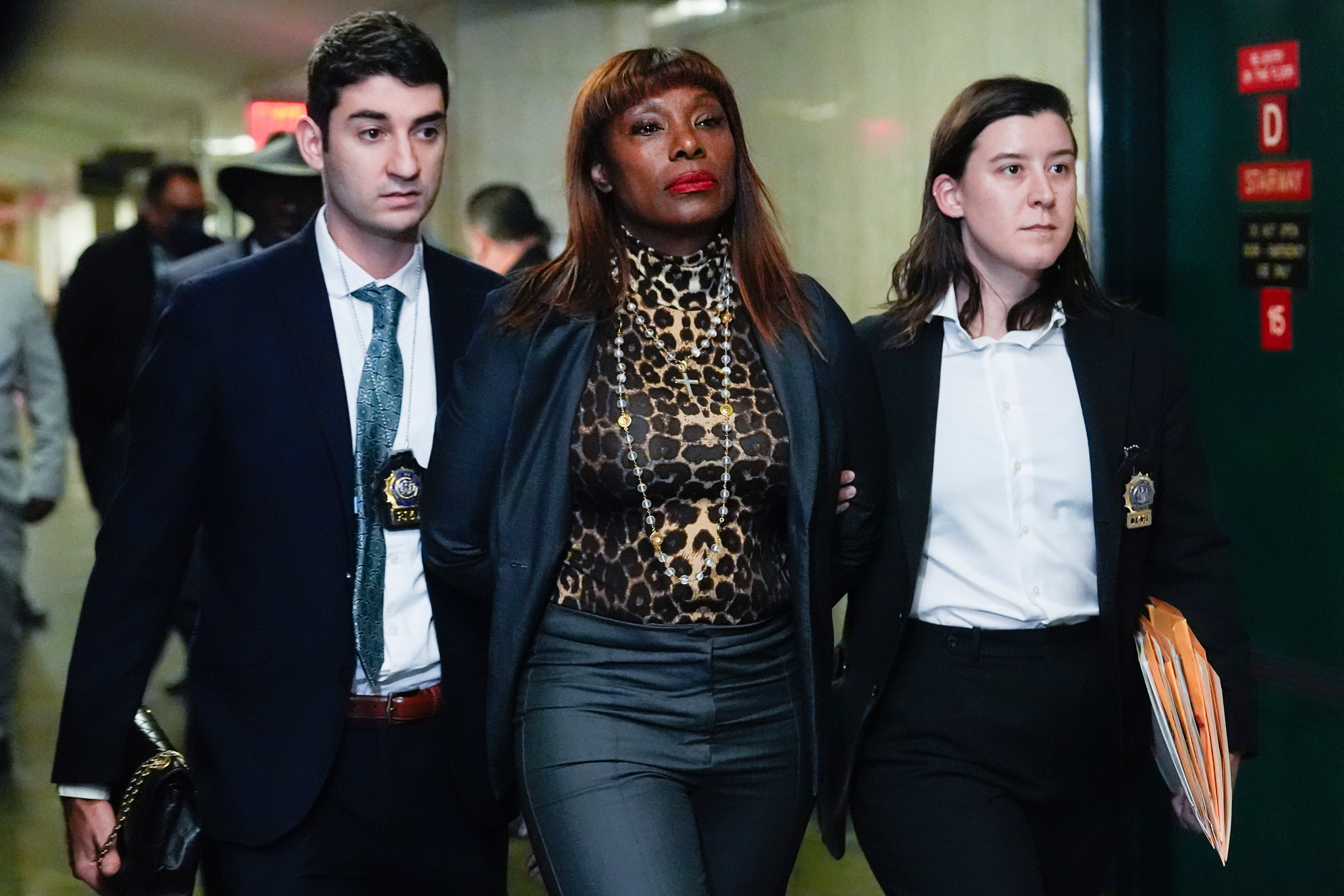 NYC Mayor Investigations