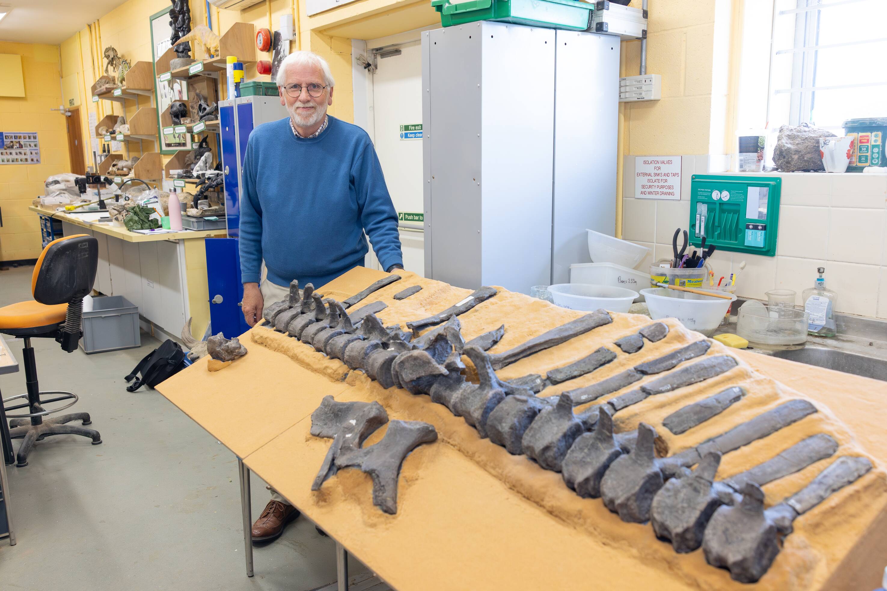 The retired GP has decided to name the species after sailor Dame Ellen MacArthur