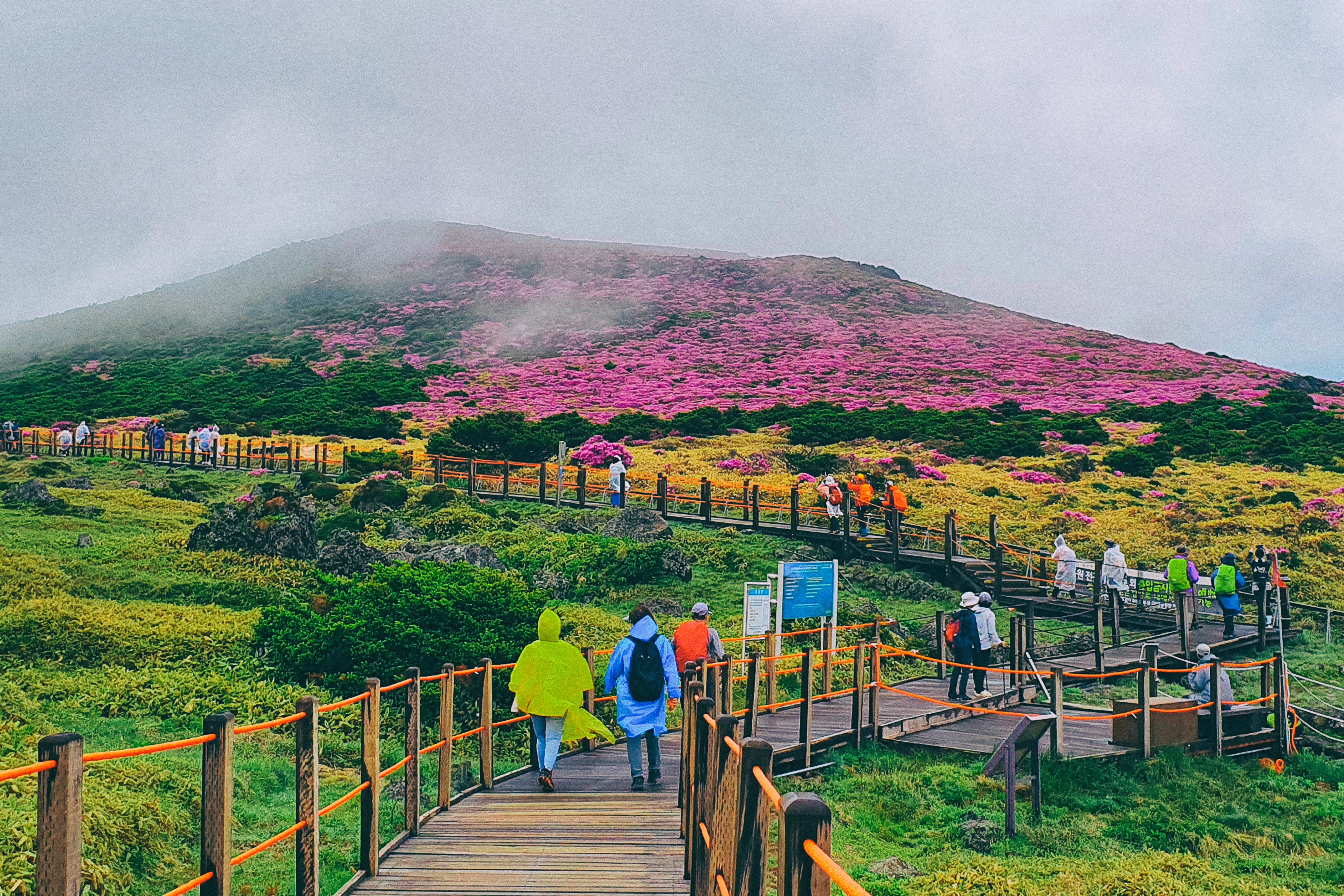 Visitors hiking in the Hallasan National Park on Jeju Island, South Korea