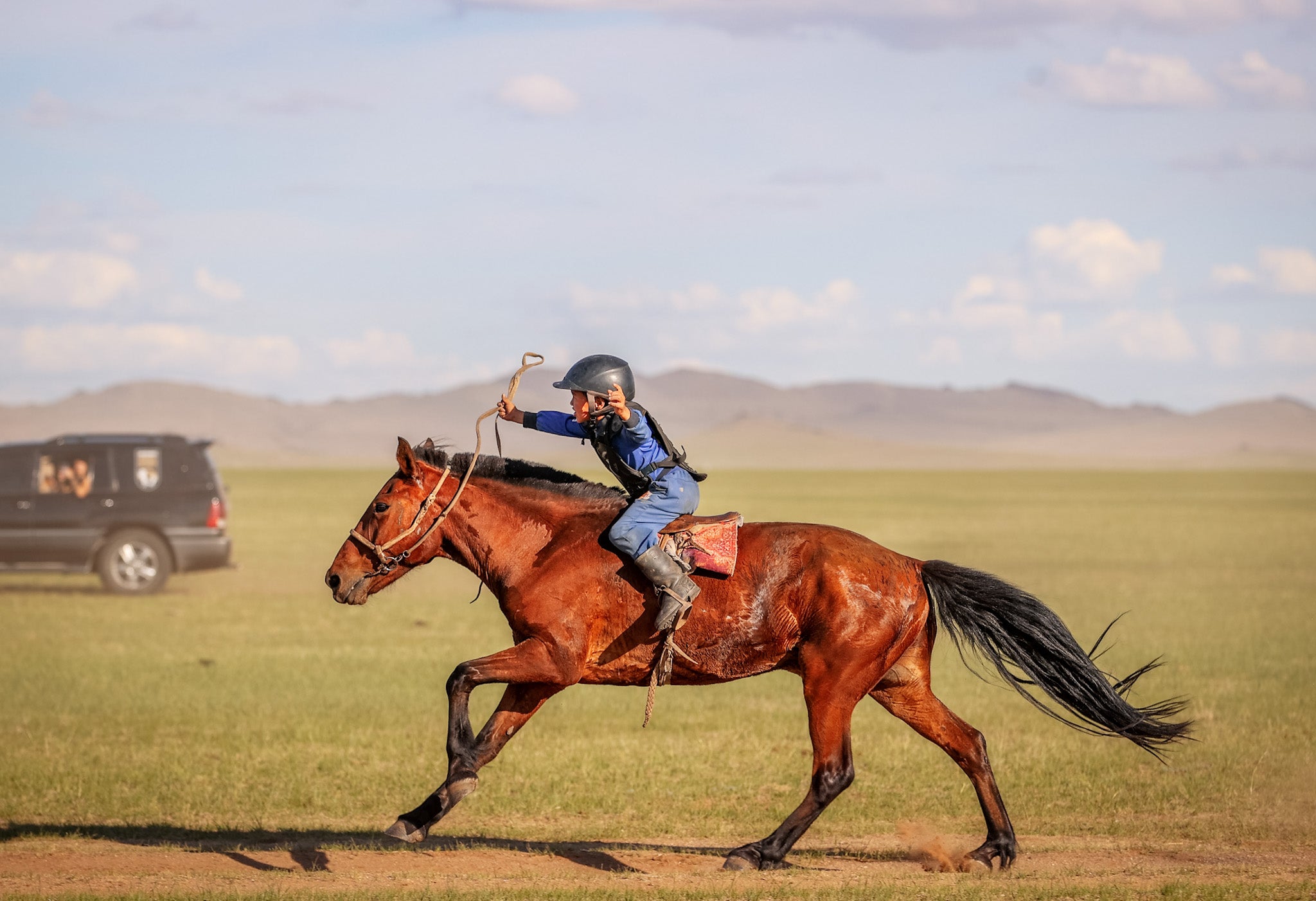 The diminutive Mongol horses are known to be the toughest in the world, living in temperature extremes from -40C in winter to 30C in Mongolian summers