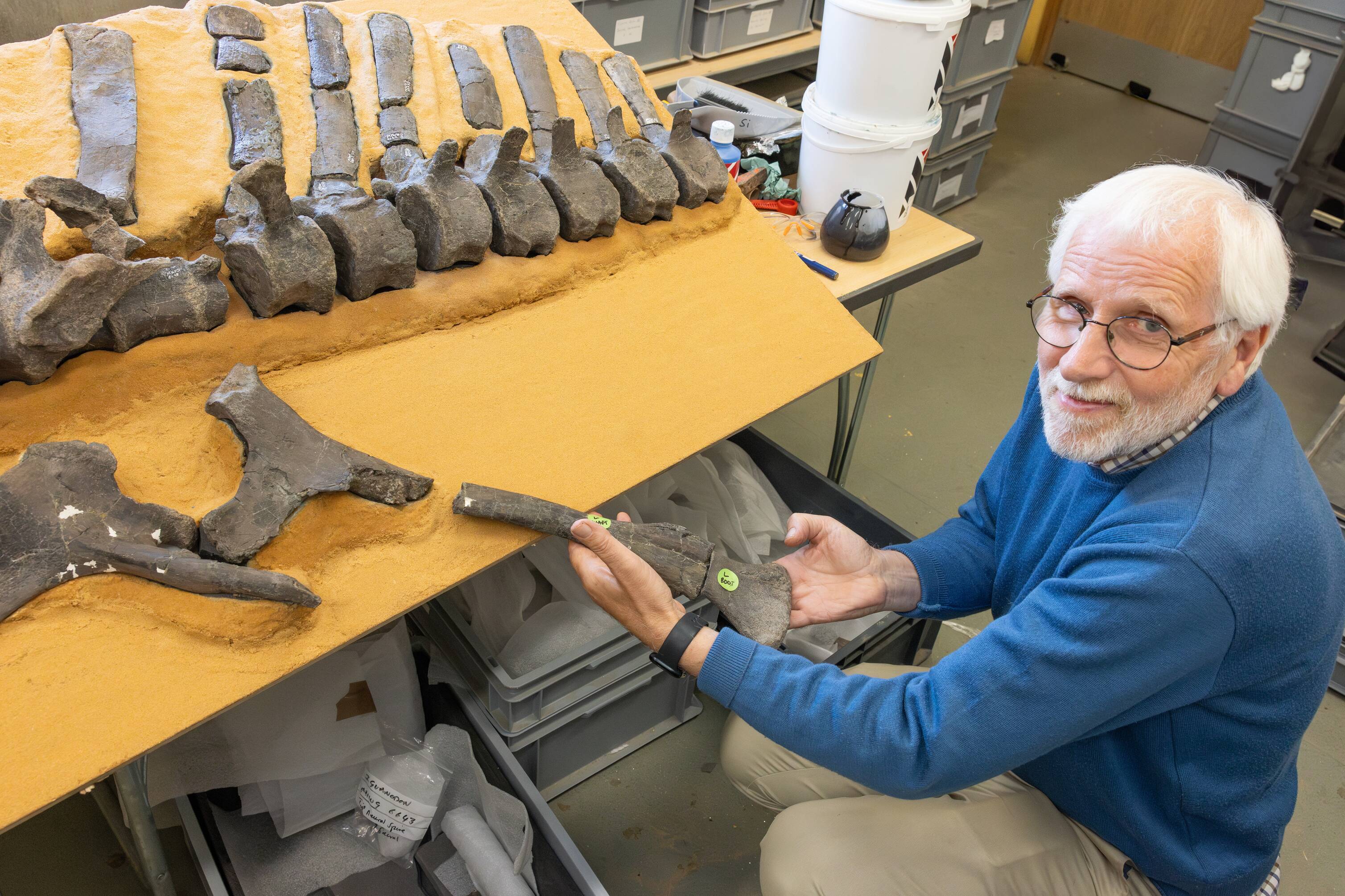 Jeremy Lockwood with the spinal column of an Istiorachis macaruthurae (James Brown/PA)