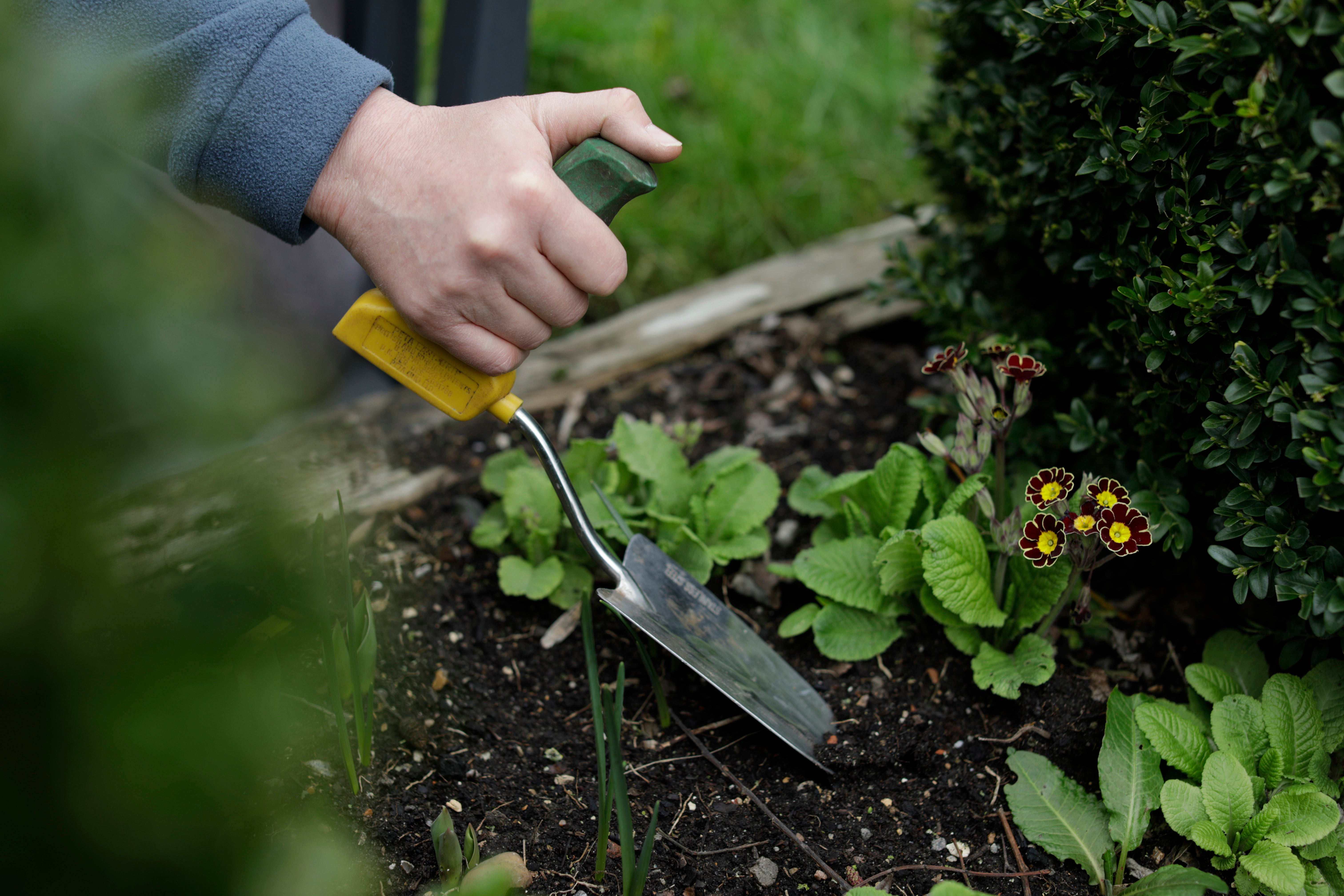 An ergonomic trowel (Thrive/PA)
