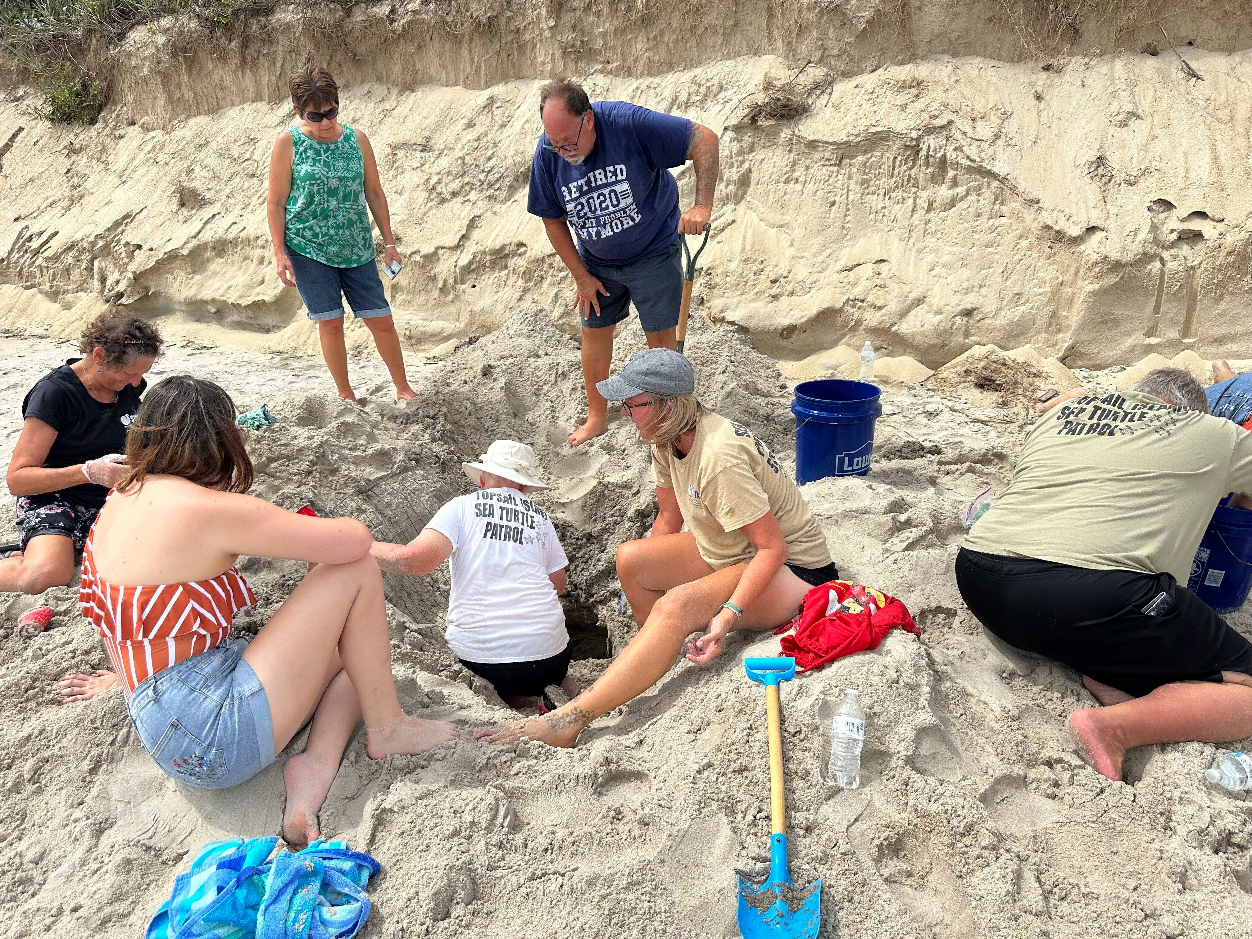 Hurricane Erin never hit land or caused major damage, but endangered turtle nests weren't so lucky