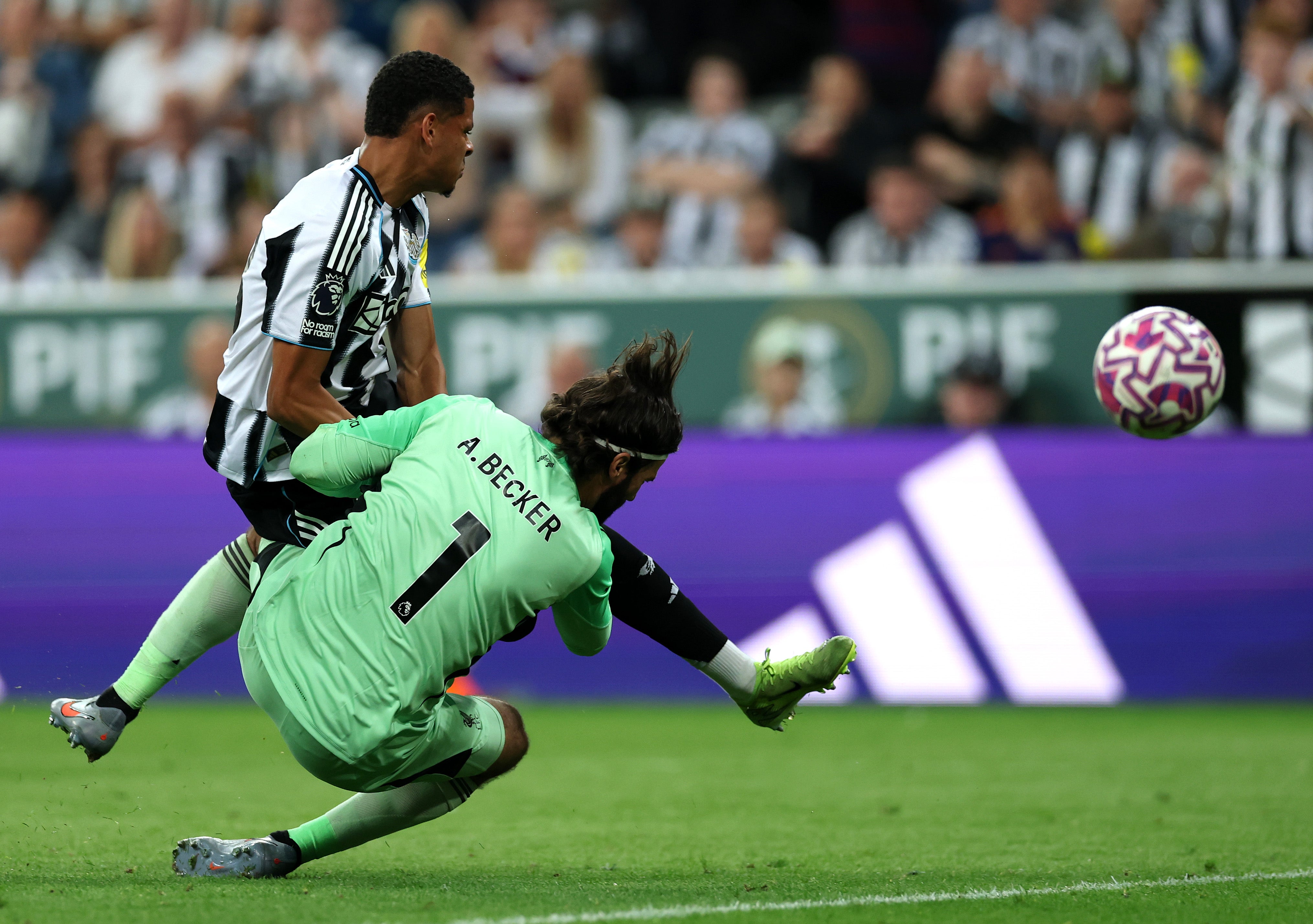 William Osula thought he had earned a point for Newcastle before Liverpool's late winner