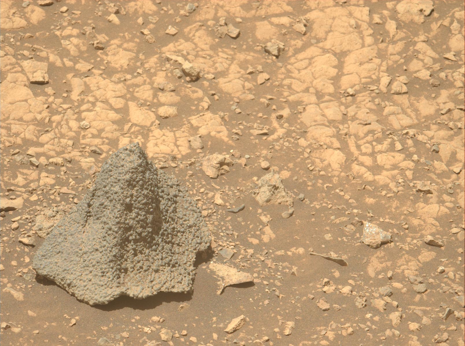 Nasa's Mars Perseverance rover acquired this image of a witch hat or helmet-shaped rock 'Horneflya'