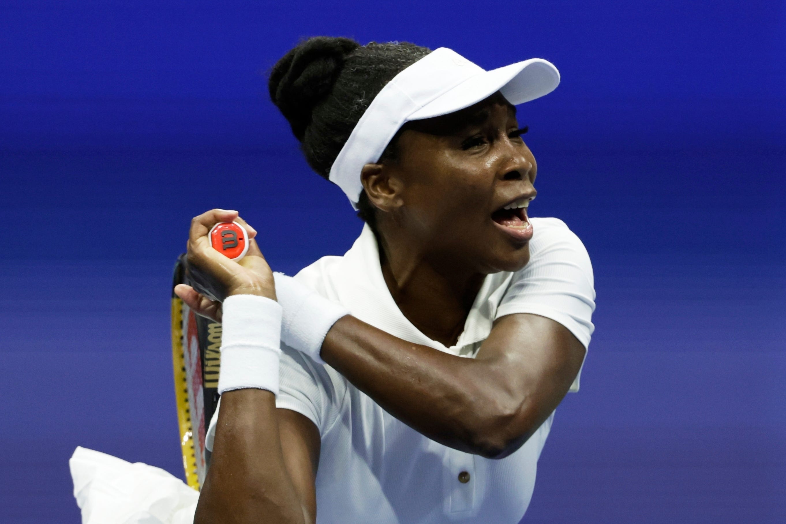 Venus Williams threatened to pull off a sensational victory (Adam Hunger/AP)