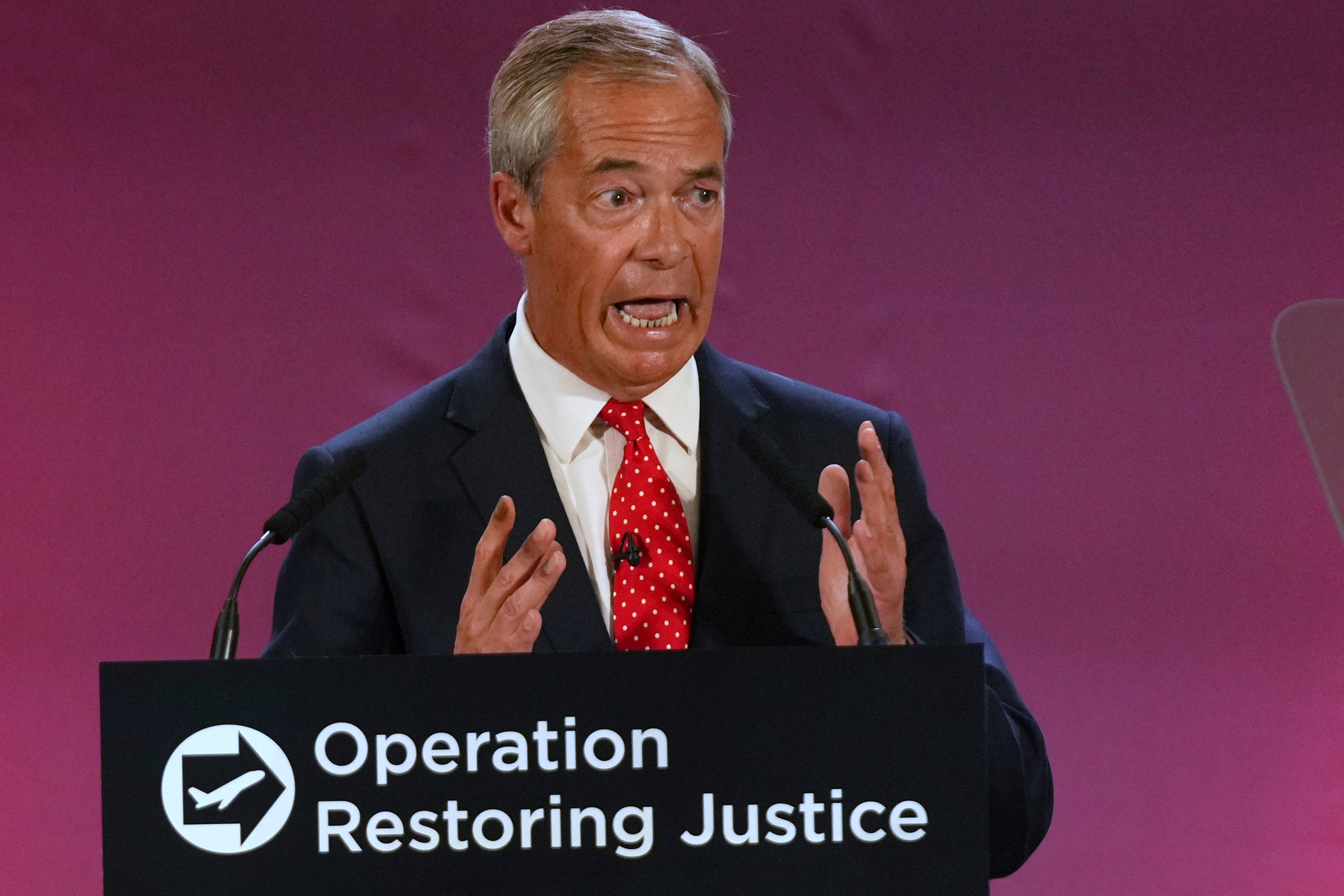 Farage laid out his mass deportation plans