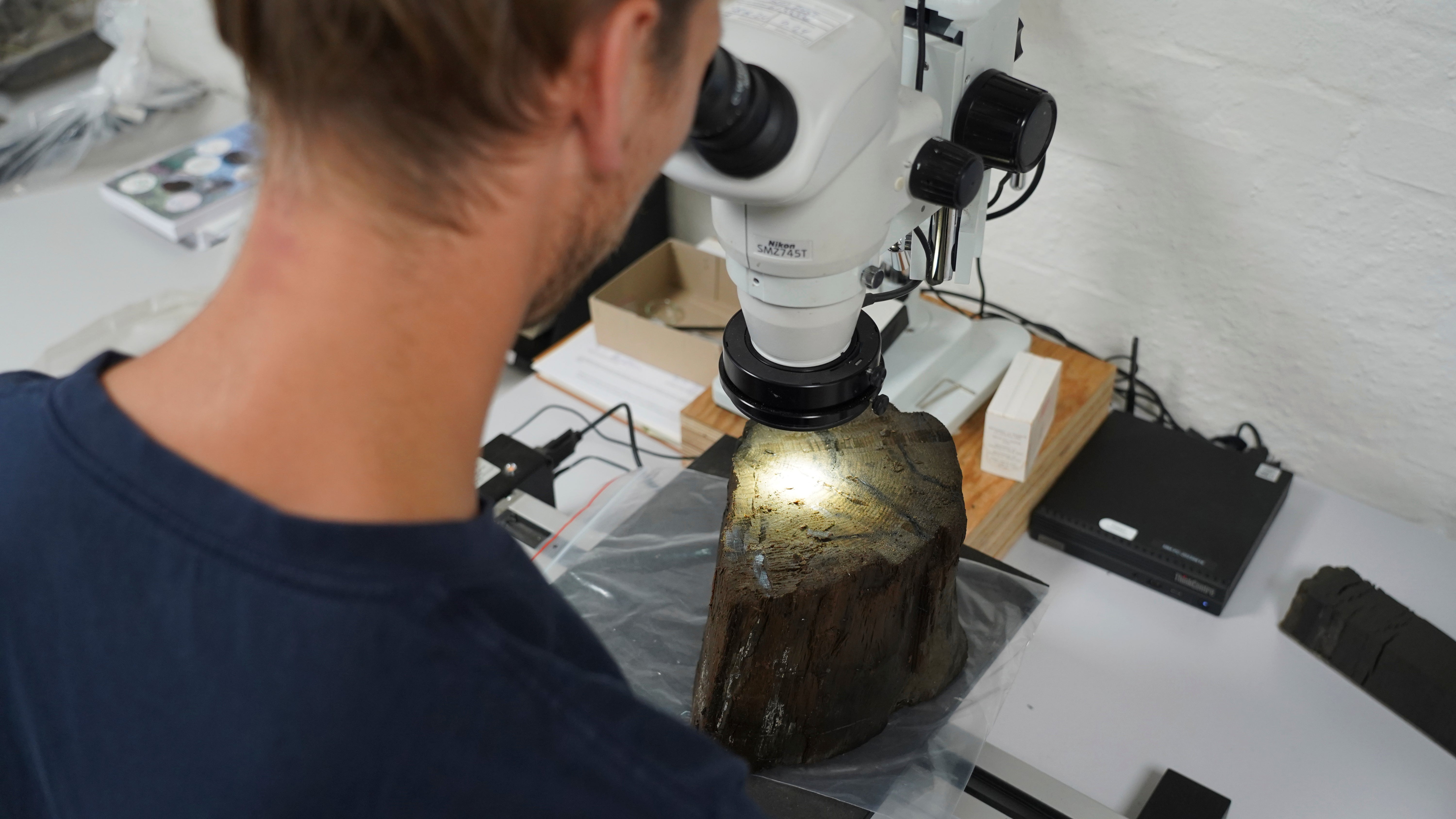 Dendrochronologist Jonas Ogdal Jensen looks at a suspected Stone Age tree trunk, unearthed at an 8,500-year-old coastal settlement, in his lab at Moesgaard Museum in Aarhus