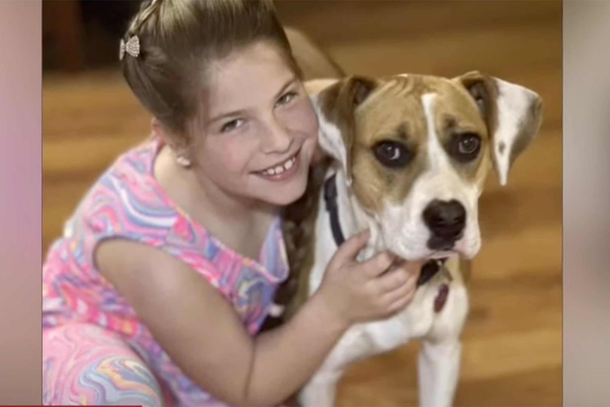 Pet owners, like 12-year-old Hannah Elmore, are heartbroken
