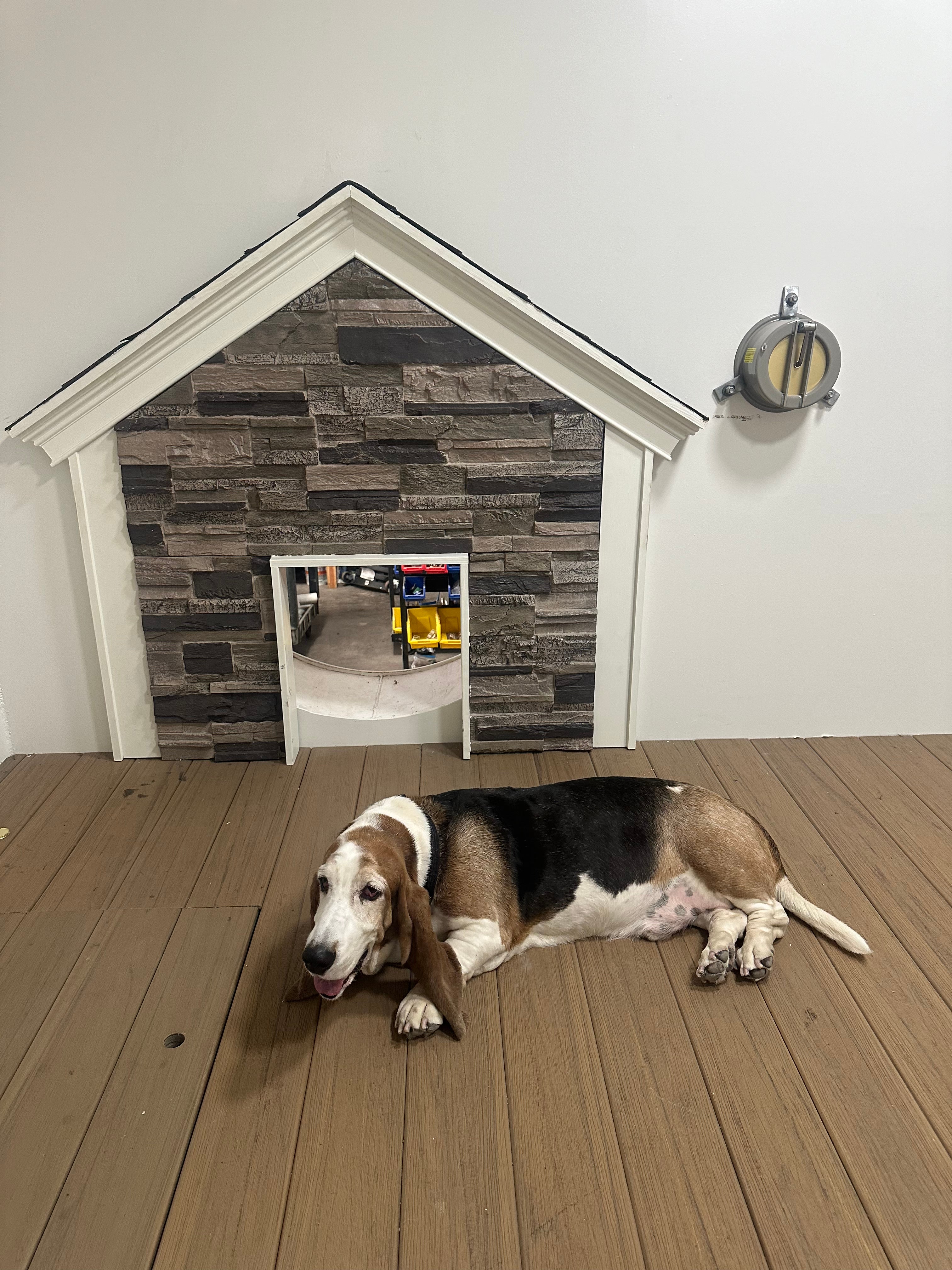 Ron Hubbard says Atlas is a 'family friendly company', and that means providing extra accommodations inside its bunkers for family pets as well as people