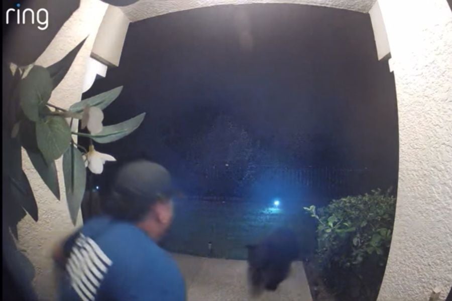 A Ring doorbell footage captured the juvenile bear attacking Rojas