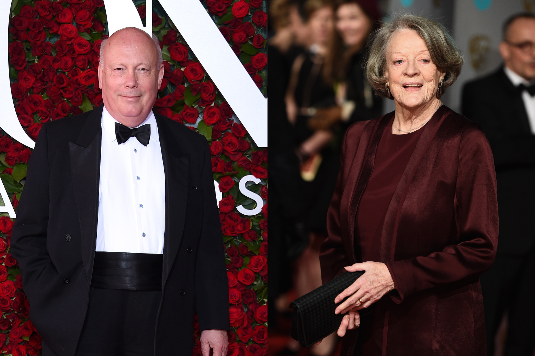 'Downton Abbey' creator Julian Fellowes has said he finds it 'hard to believe' Maggie Smith never watched the programme
