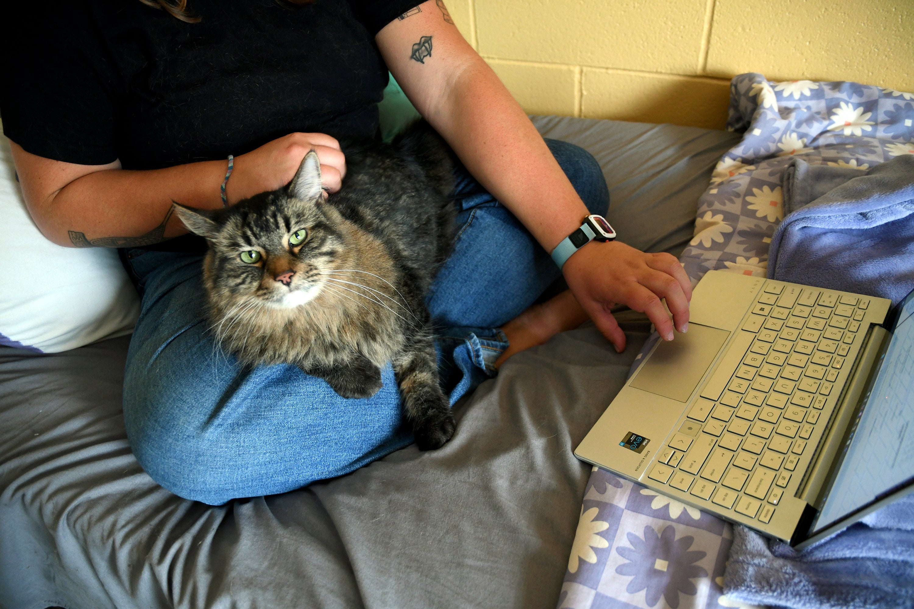 Be Well-Education-Pet-Friendly Dorms