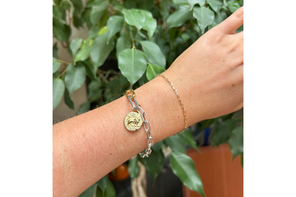 pandora lion talisman charm