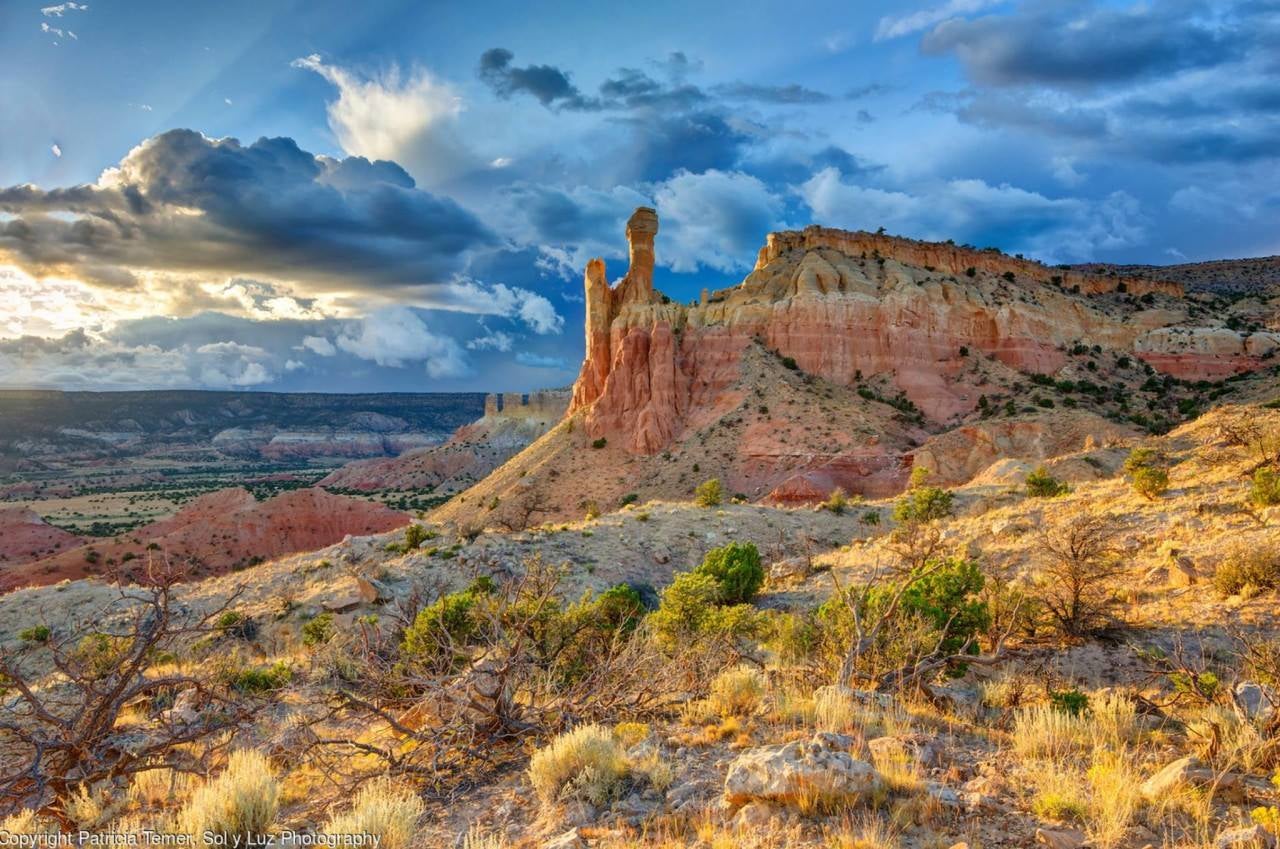 New Mexico reported its first case of plague this year. The unidentified man may have been exposed while camping in Rio Arriba County