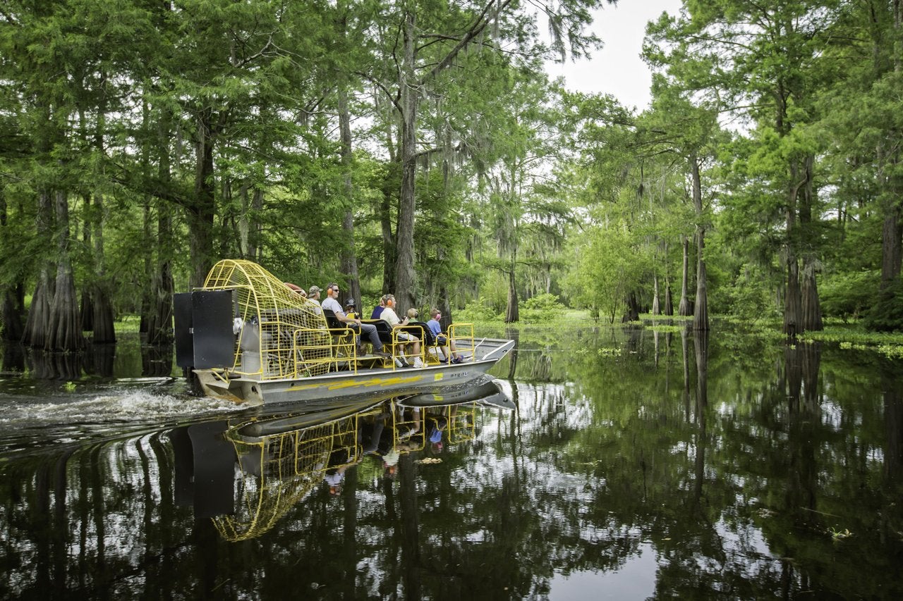 Keep an eye out for eagles, alligators and white tail deer on an airboat tour of the Atchafalaya Basin
