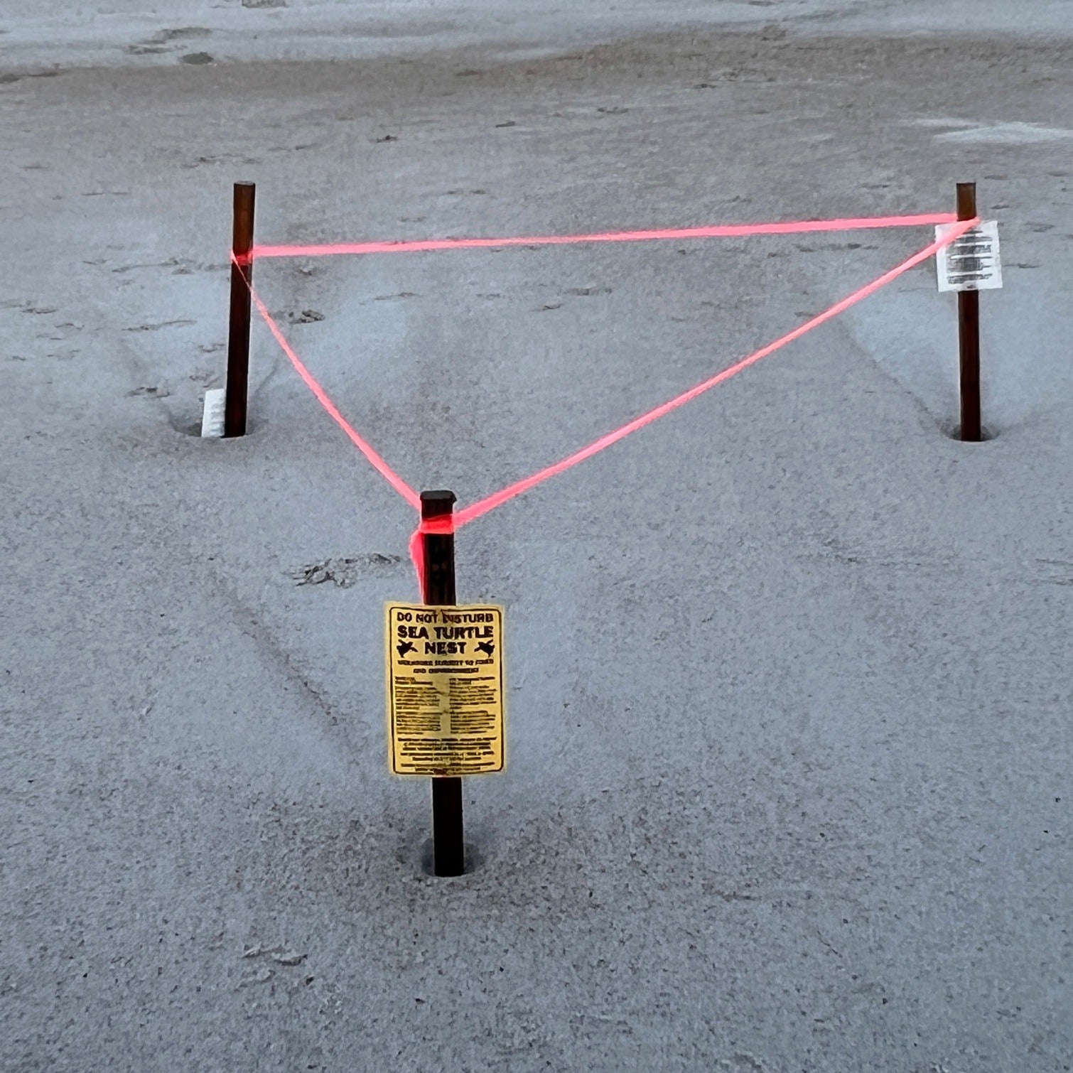 Early morning beach walkers have been advised to be 'extra vigilant' around the nests