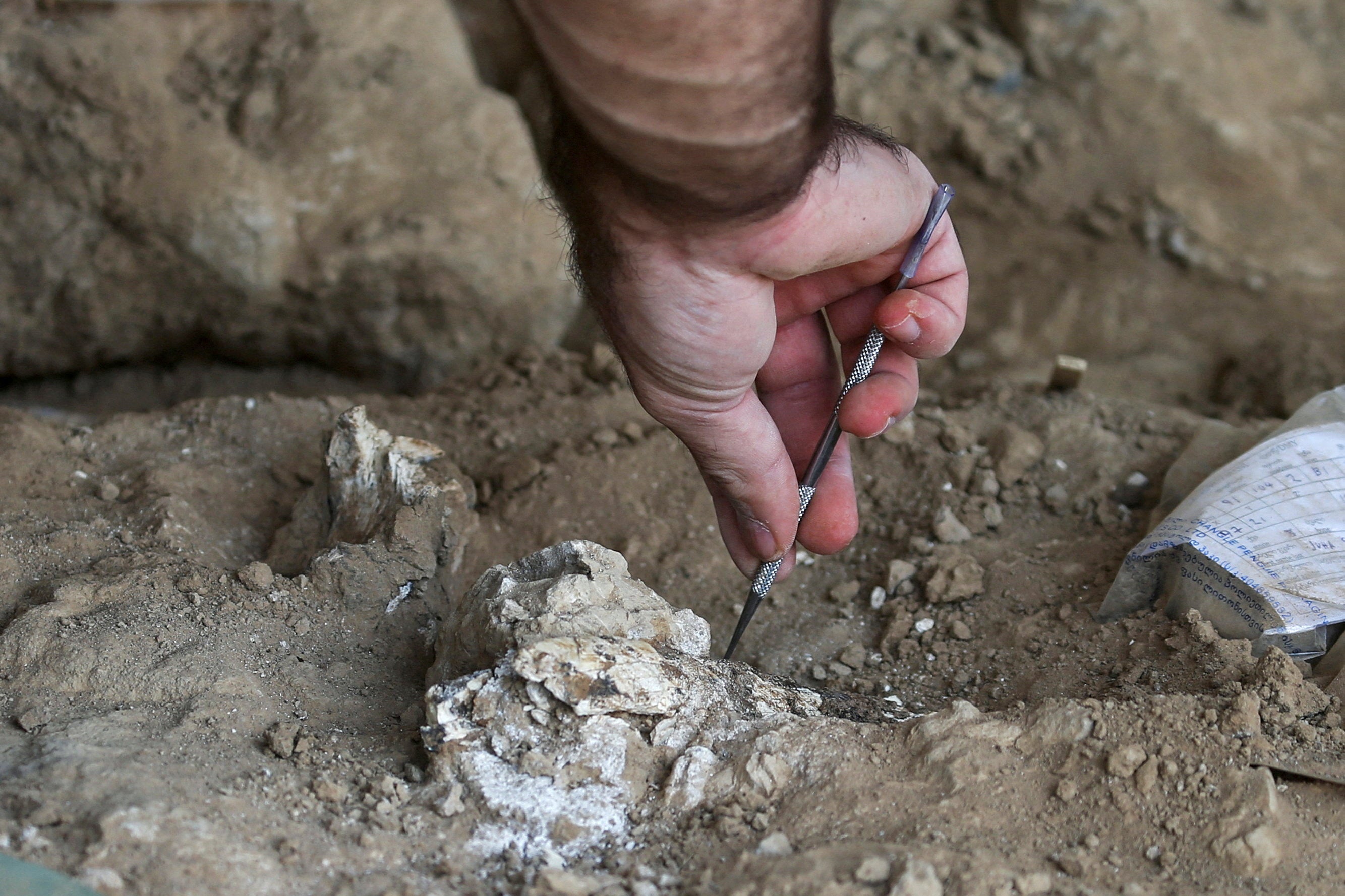 The discovery was made southwest of the Georgian capital of Tbilisi