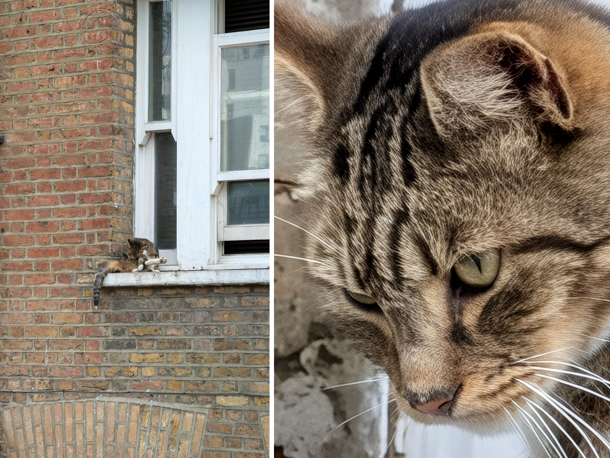 Google Pixel 10 Pro Res Zoom example