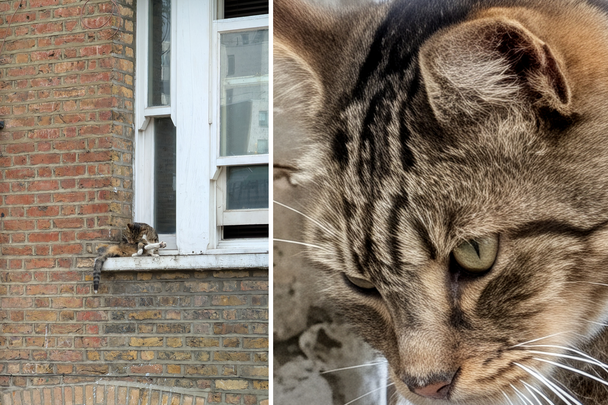 Exemplo de zoom de resolução do Google Pixel 10 Pro