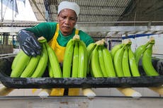 These foods can help maintain a healthy blood pressure