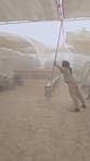Burning Man’s ‘Orgy Dome’ destroyed by high winds as dust storm hits festival