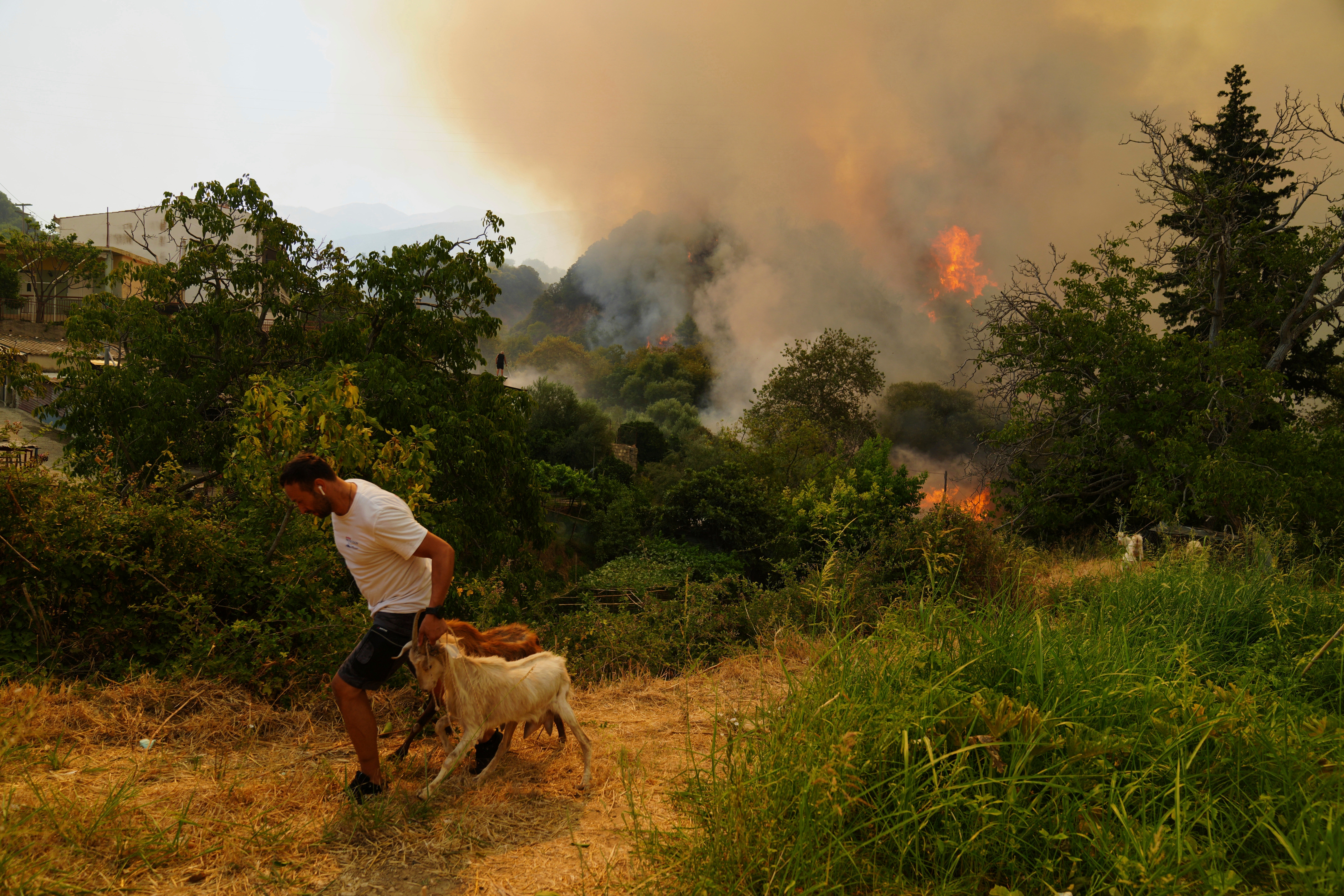 A man fleeing a wildfire in Vounteni, on the outskirts of Patras, western Greece
