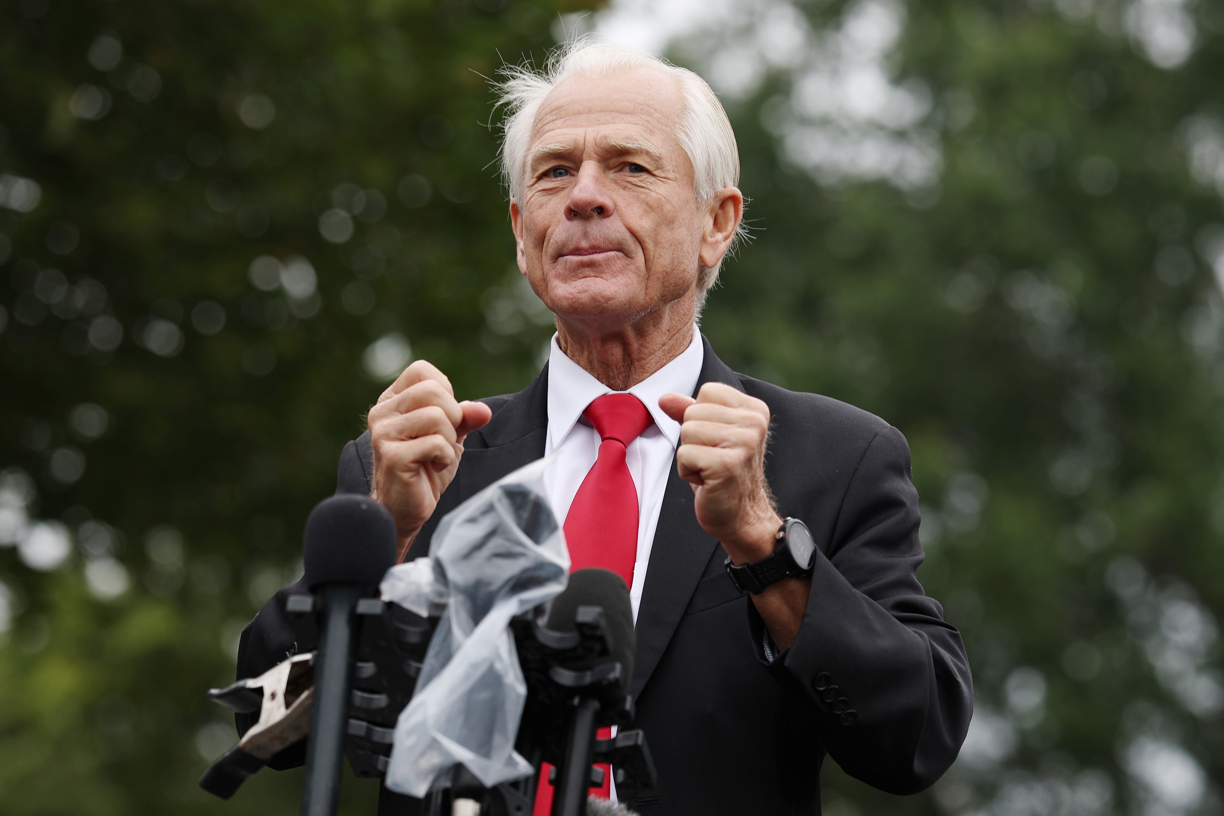 White House senior counsellor for trade and manufacturing Peter Navarro speaks to reporters outside of the West Wing of the White House.