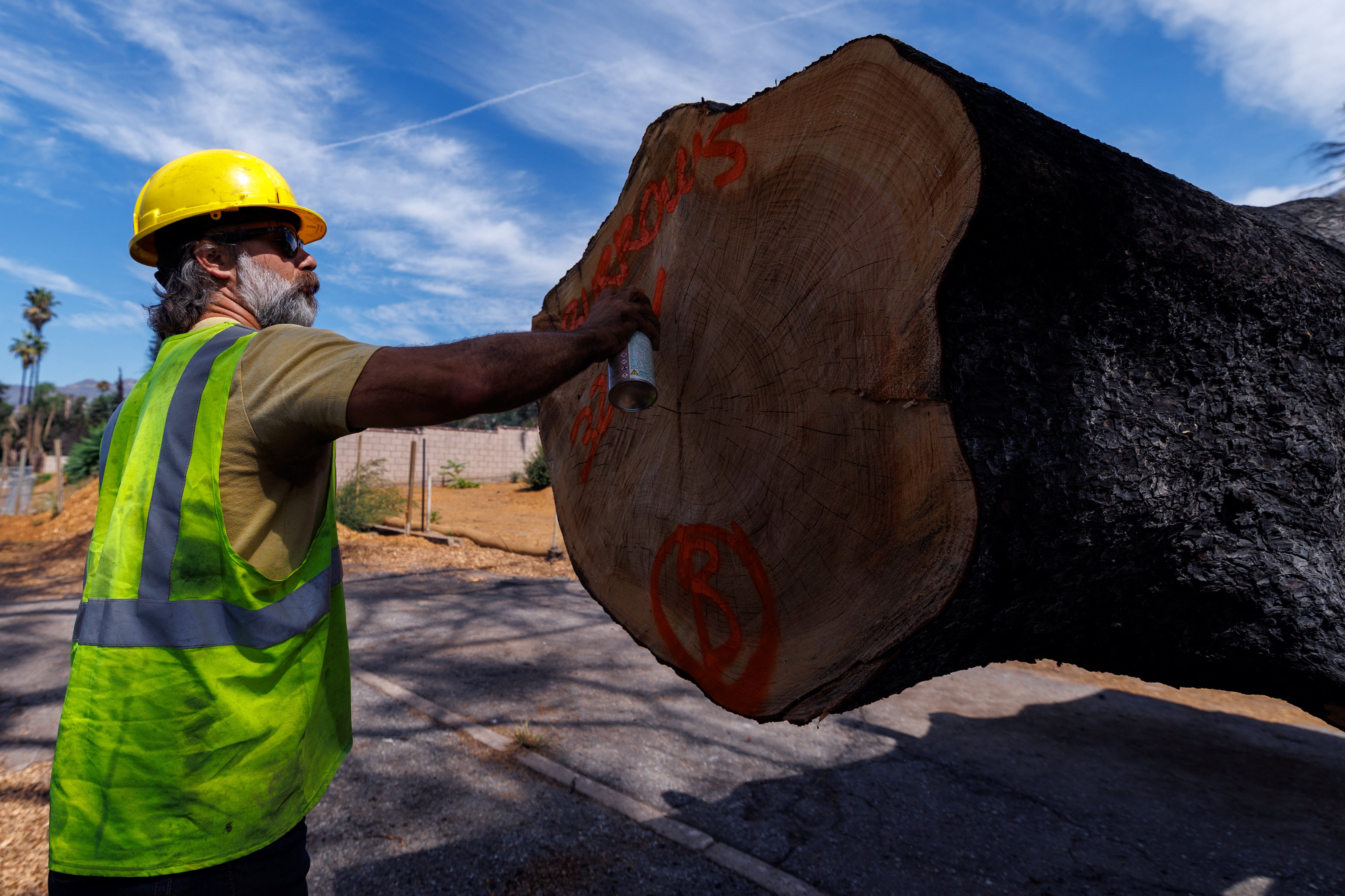 Trees damaged by devastating wildfire used to rebuild Los Angeles homes
