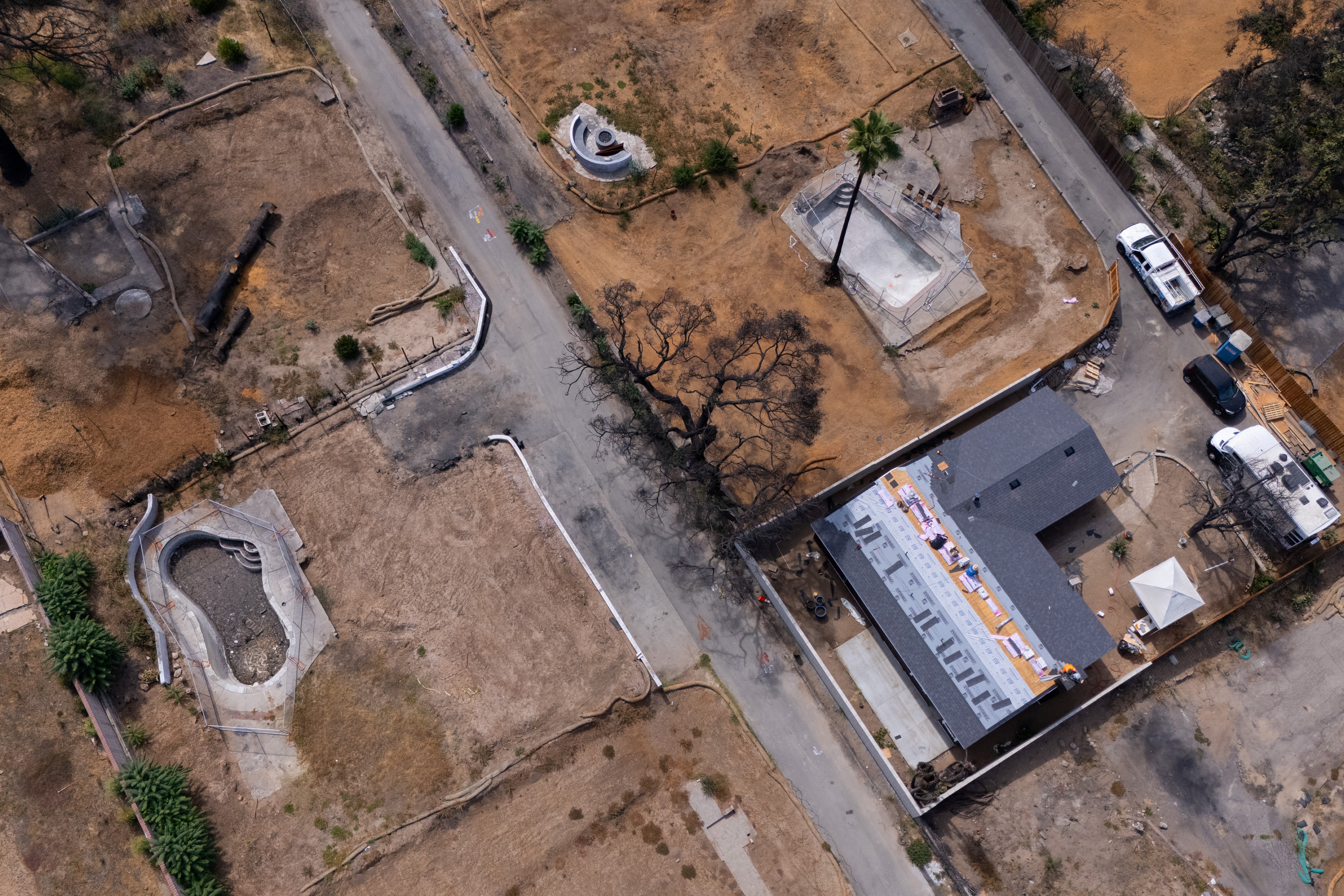 Los Angeles-based Angel City Lumber has launched the Altadena Reciprocity Project aimed at turning the city's damaged trees into usable lumber that would otherwise be chipped and shipped off or left to decompose